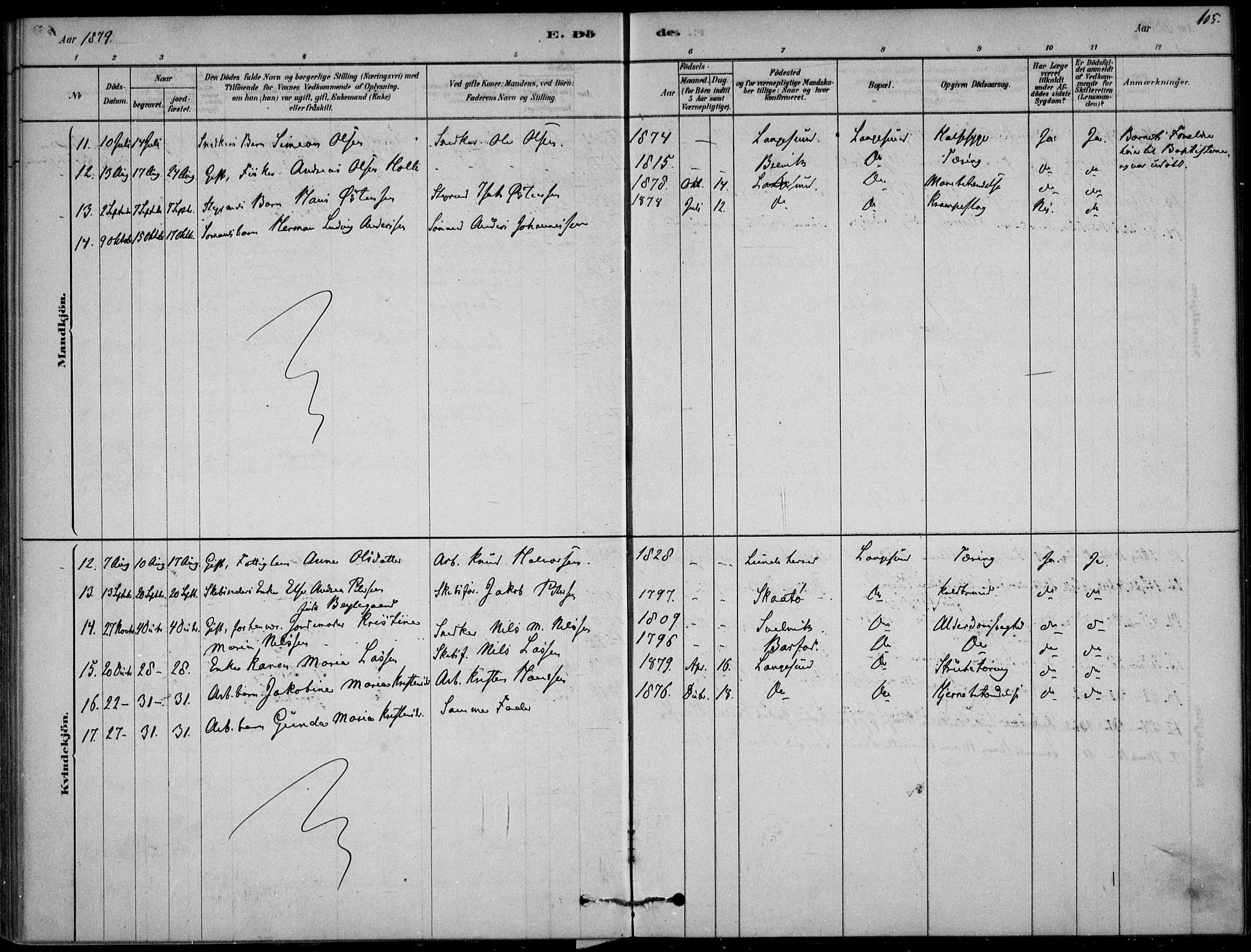 Langesund kirkebøker, AV/SAKO-A-280/F/Fa/L0002: Parish register (official) no. 2, 1878-1892, p. 105