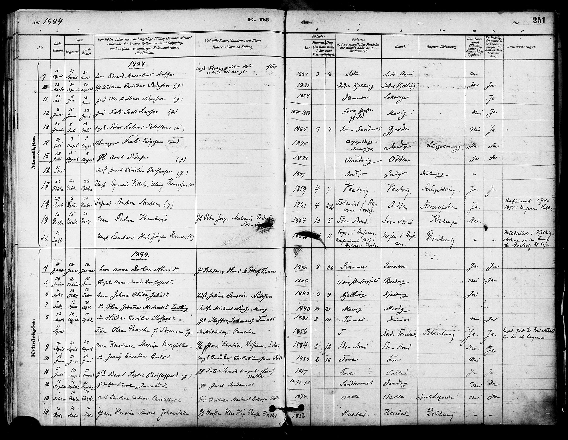 Ministerialprotokoller, klokkerbøker og fødselsregistre - Nordland, AV/SAT-A-1459/805/L0099: Parish register (official) no. 805A06, 1880-1891, p. 251