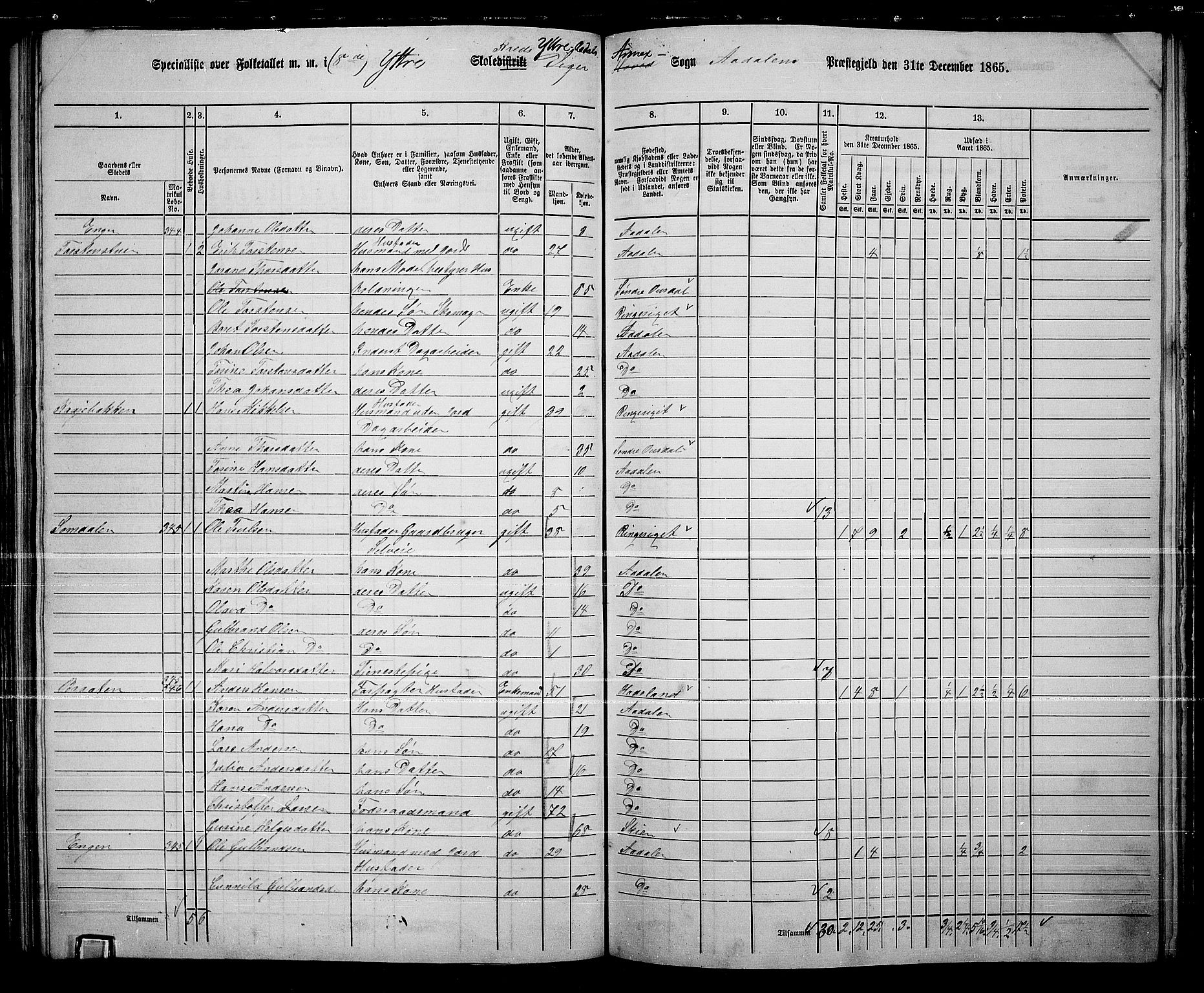 RA, 1865 census for Ådal, 1865, p. 79