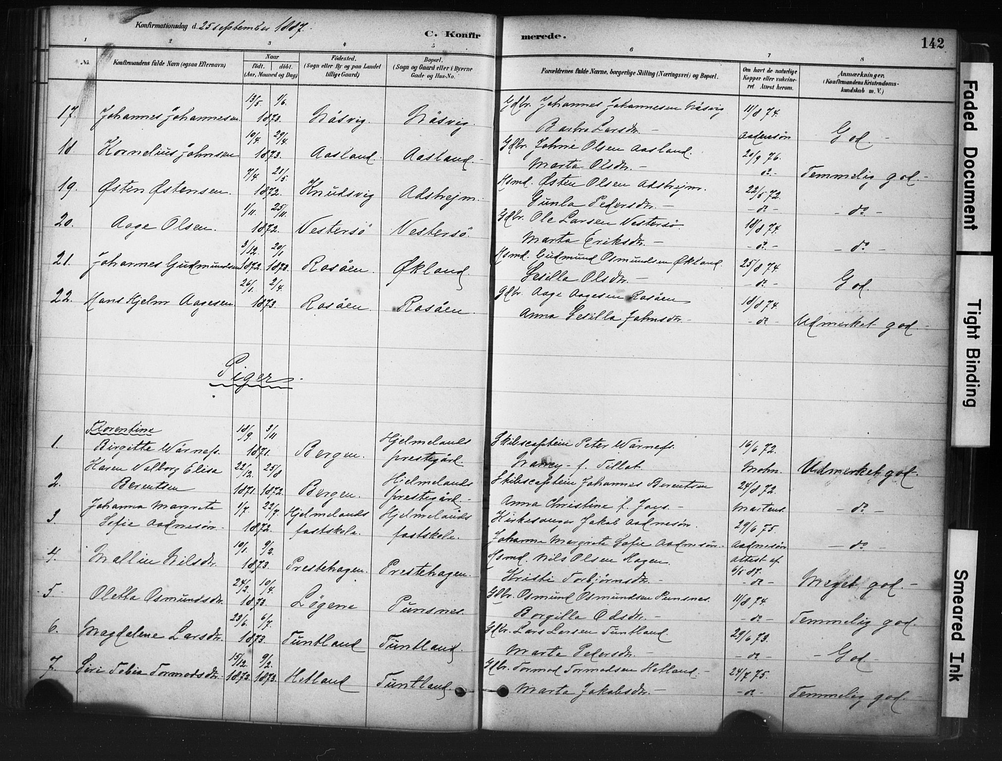 Hjelmeland sokneprestkontor, AV/SAST-A-101843/01/IV/L0014: Parish register (official) no. A 14, 1879-1900, p. 142