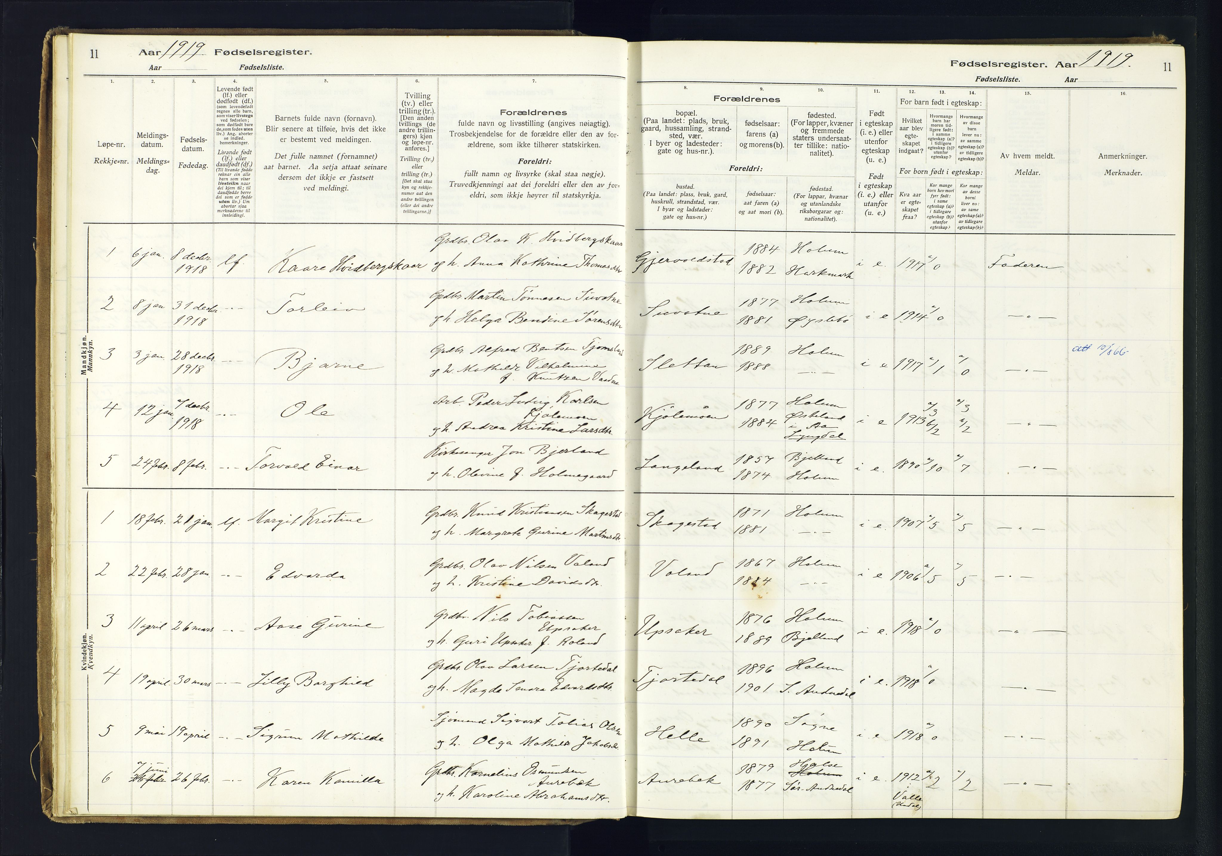 Holum sokneprestkontor, SAK/1111-0022/J/Ja/L0003: Birth register no. II.6.12, 1916-1982, p. 11