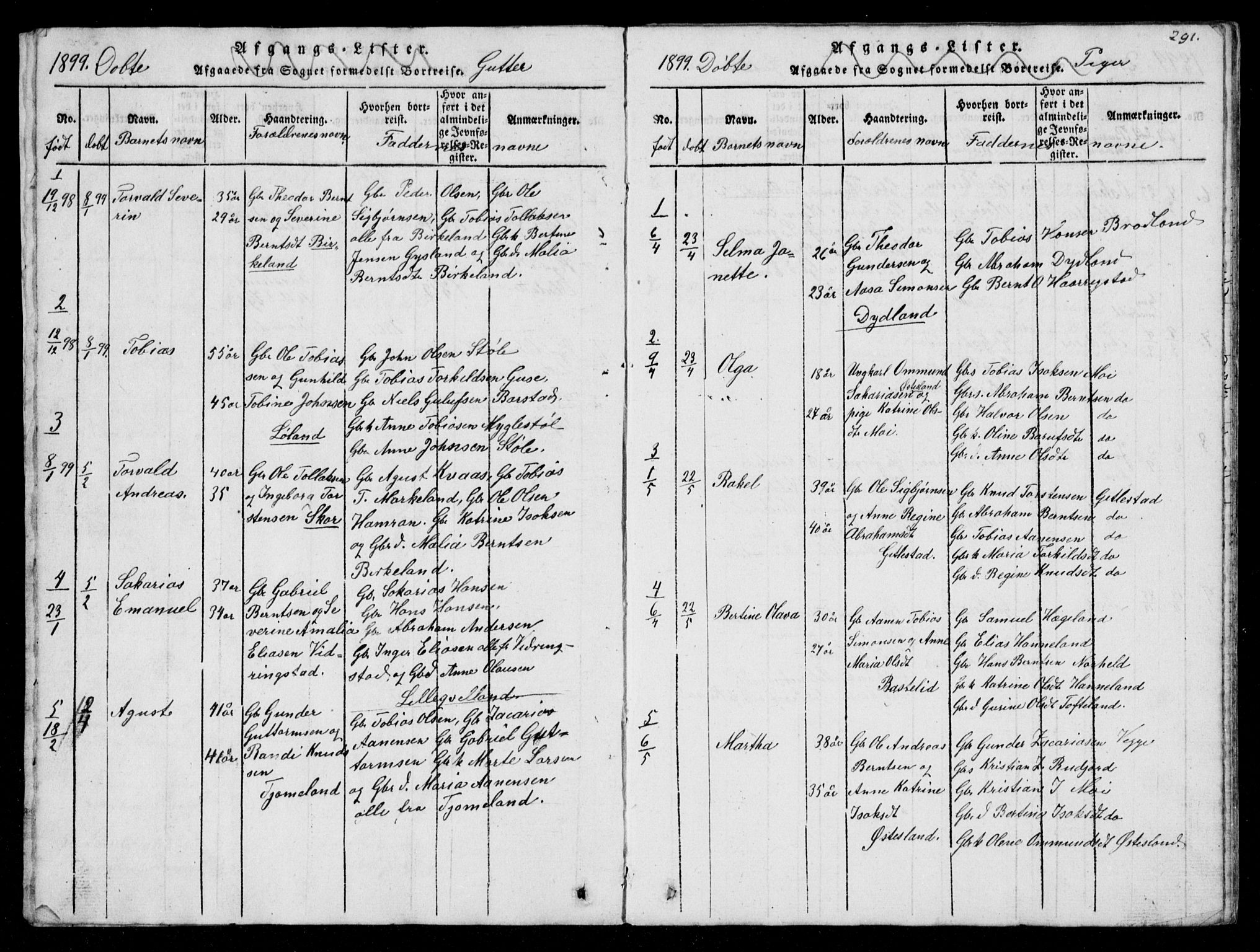 Lyngdal sokneprestkontor, AV/SAK-1111-0029/F/Fb/Fbb/L0001: Parish register (copy) no. B 1, 1816-1900, p. 291