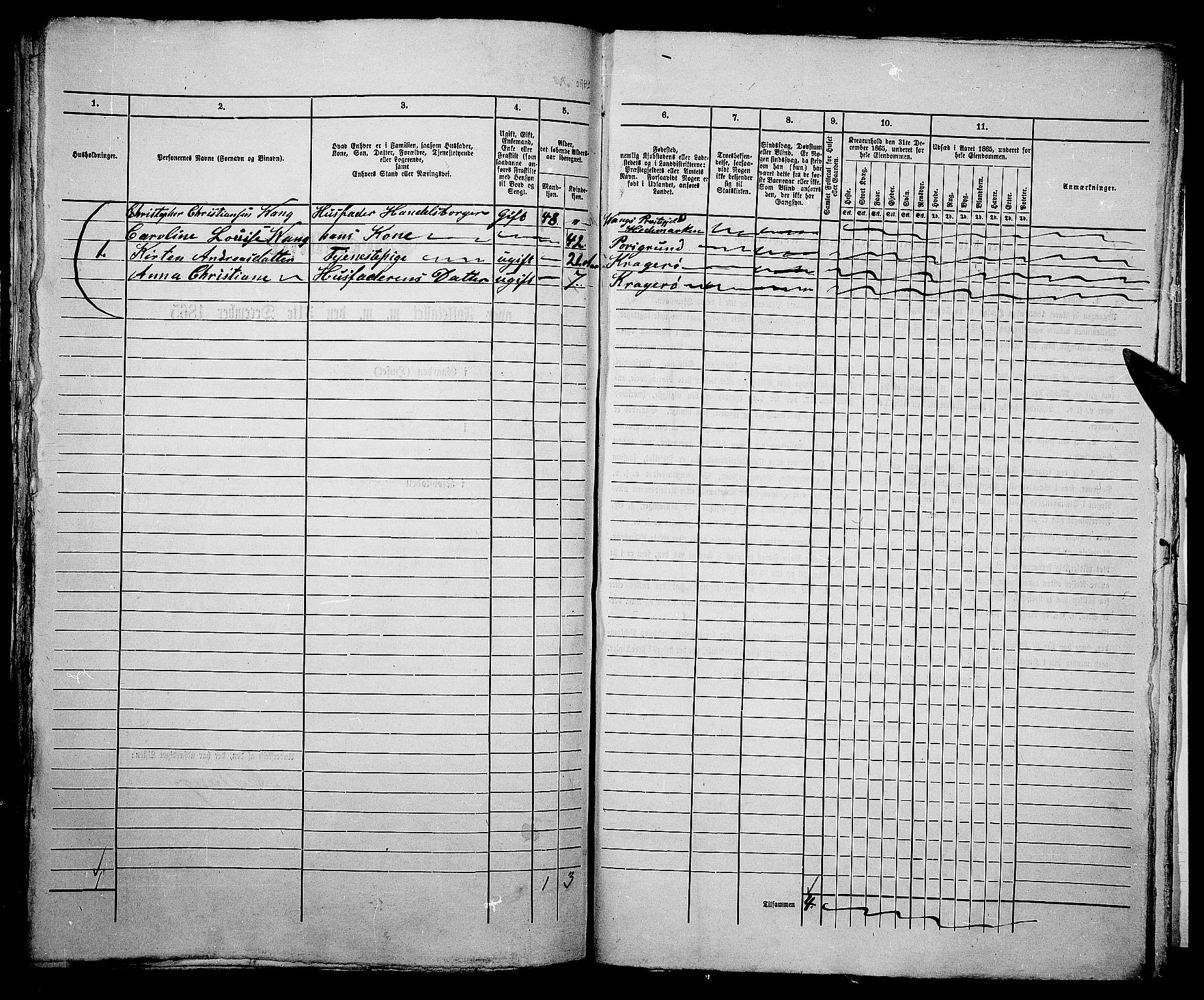 RA, 1865 census for Kragerø/Kragerø, 1865, p. 1137