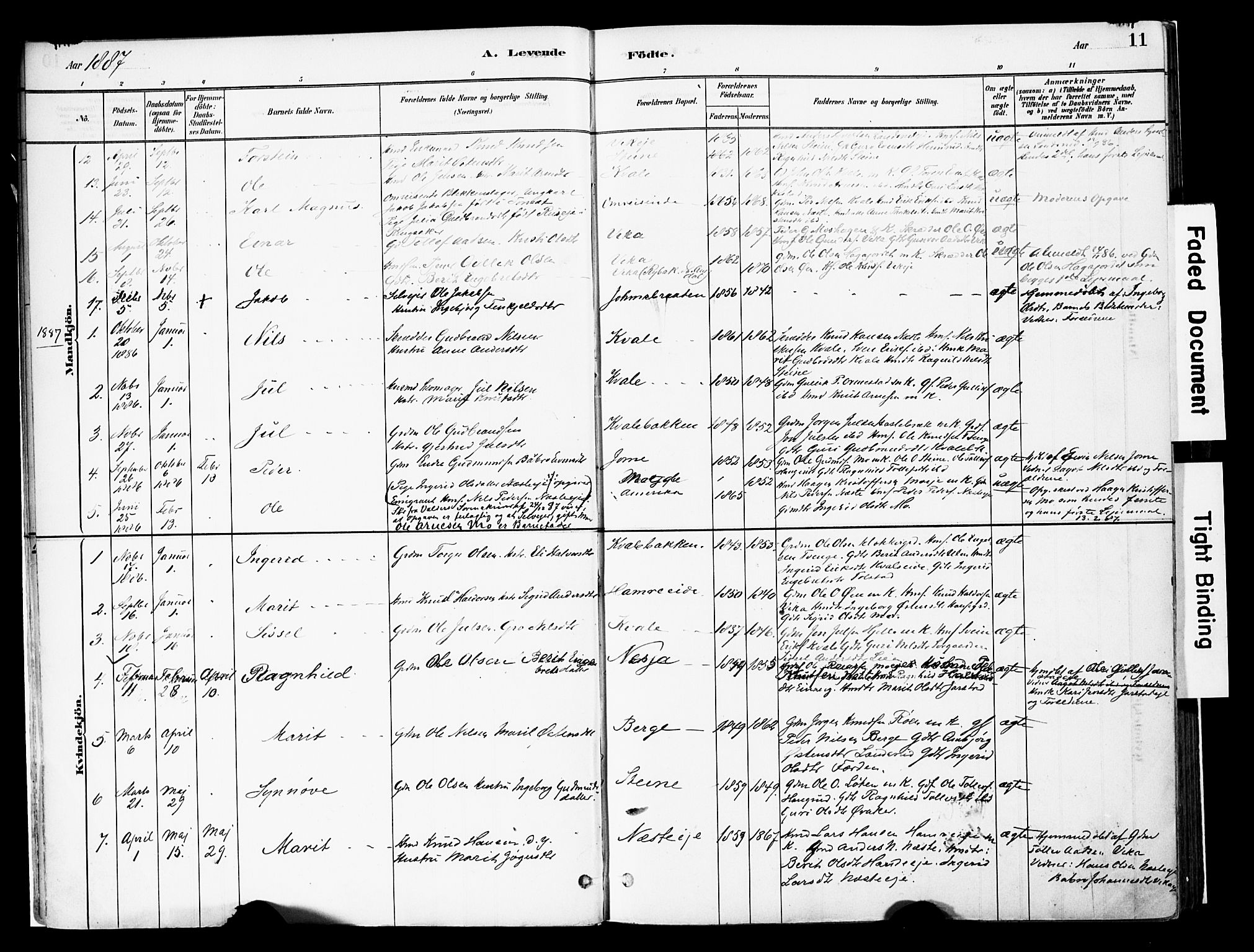 Vestre Slidre prestekontor, SAH/PREST-136/H/Ha/Haa/L0004: Parish register (official) no. 4, 1881-1911, p. 11