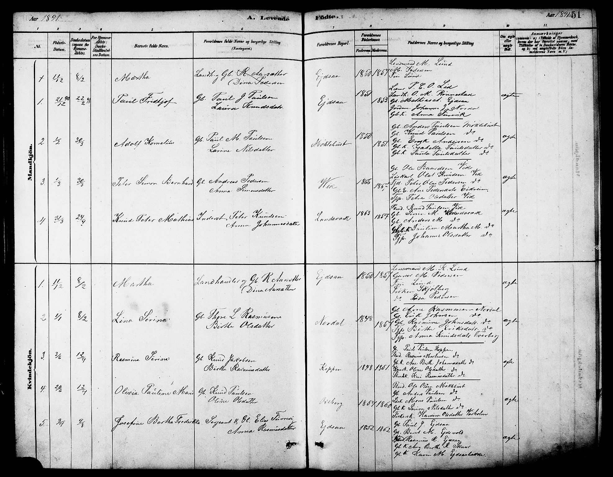 Ministerialprotokoller, klokkerbøker og fødselsregistre - Møre og Romsdal, AV/SAT-A-1454/502/L0027: Parish register (copy) no. 502C01, 1878-1908, p. 51