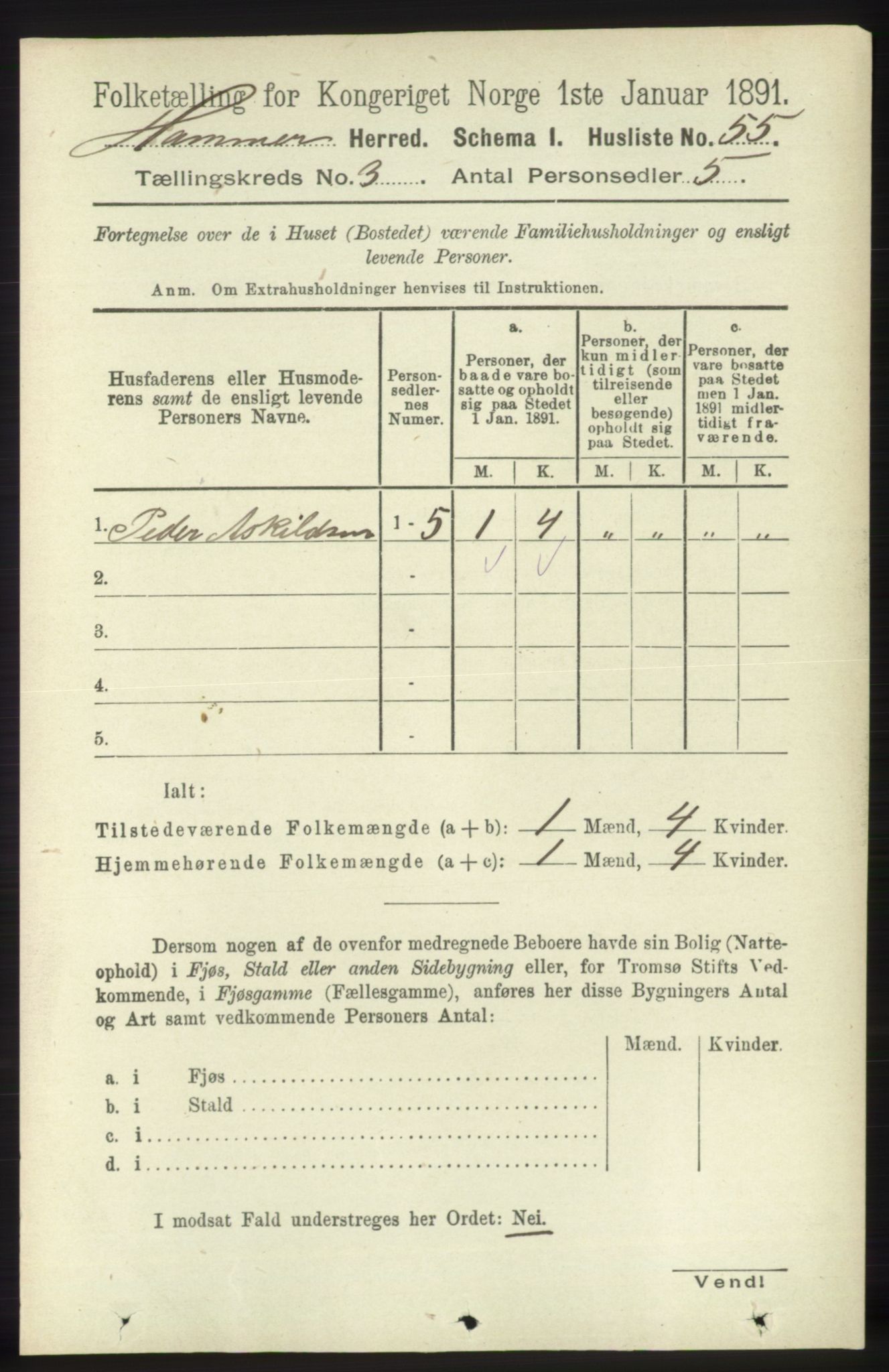 RA, 1891 census for 1254 Hamre, 1891, p. 530