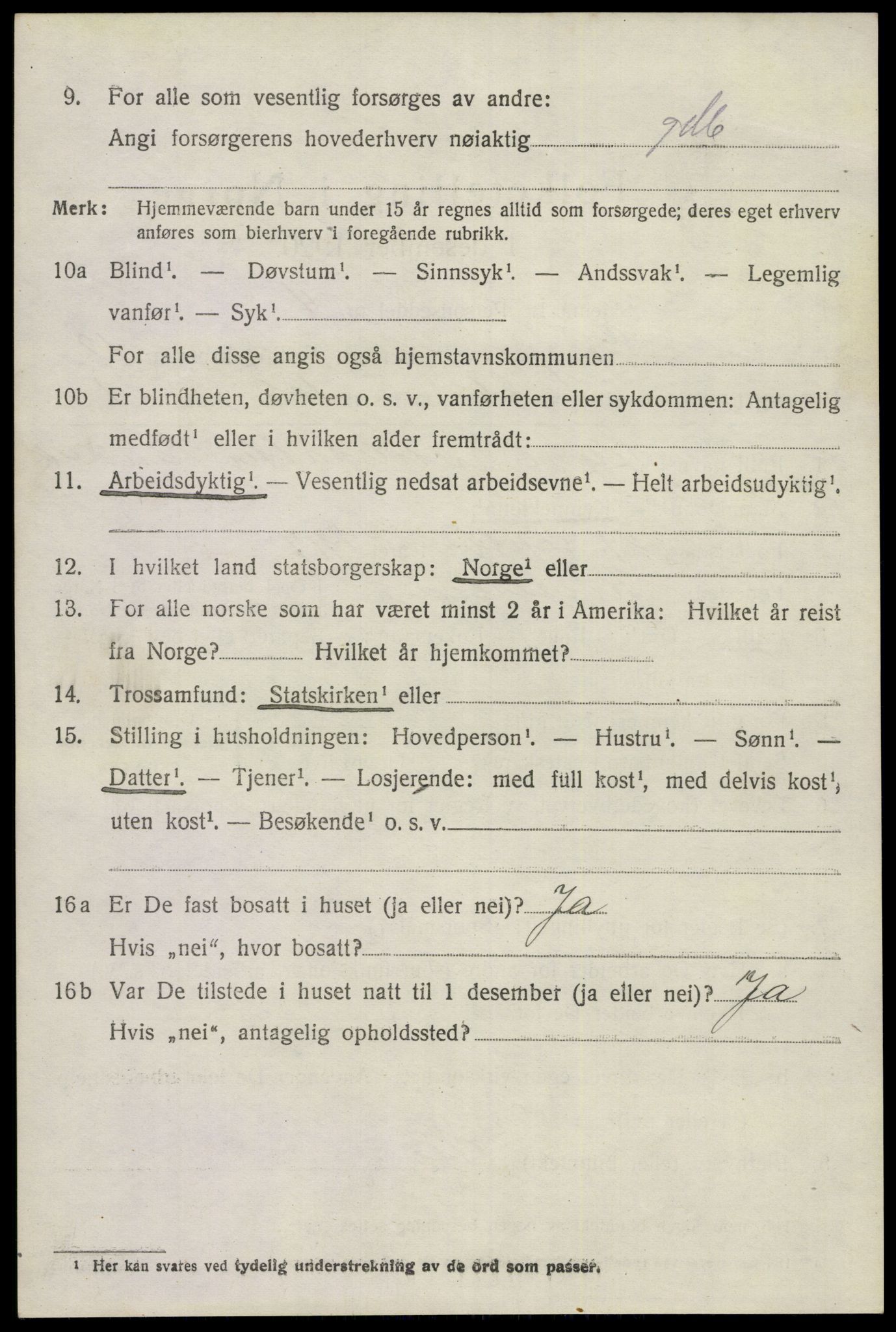 SAKO, 1920 census for Gjerpen, 1920, p. 13803