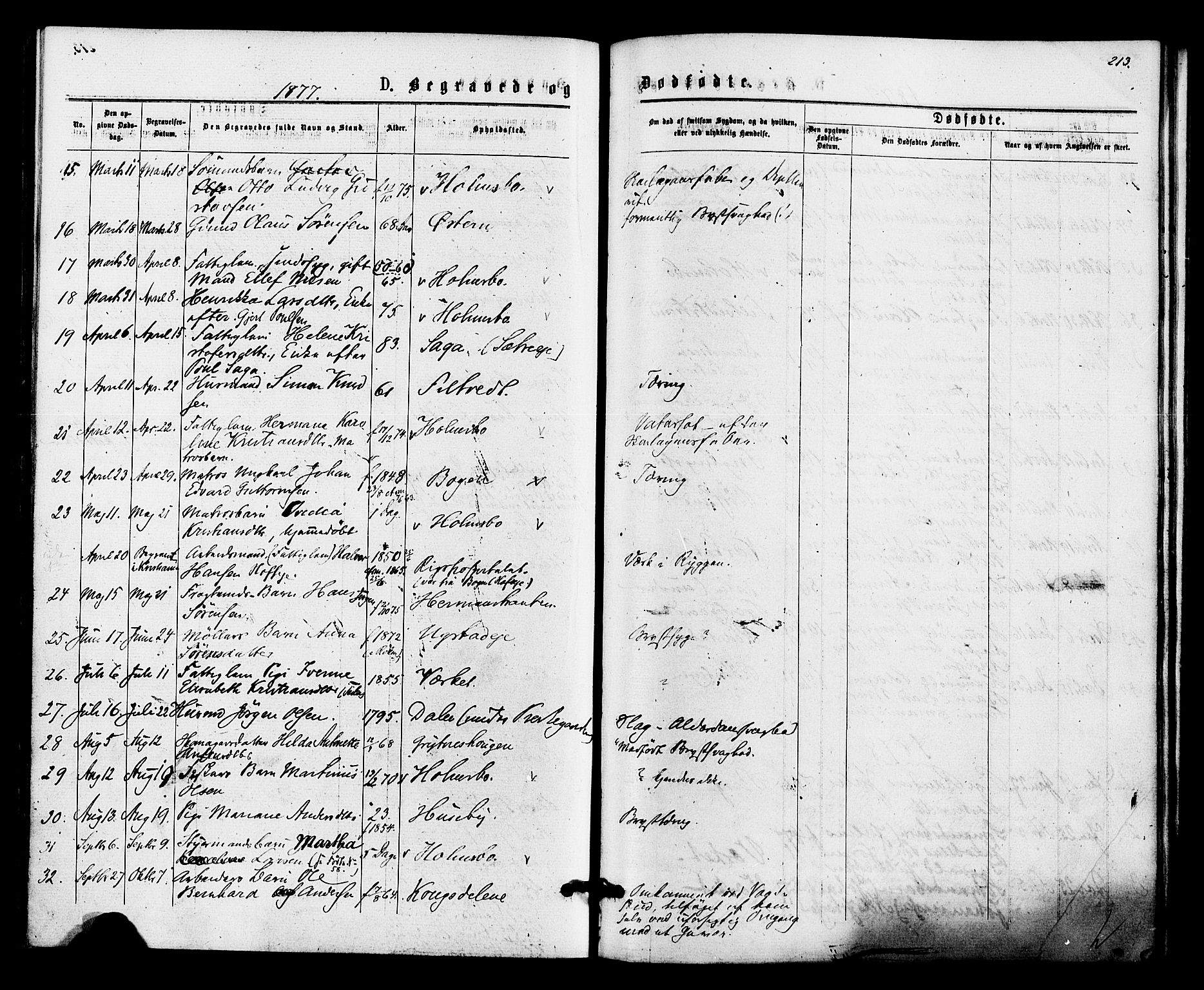 Hurum kirkebøker, AV/SAKO-A-229/F/Fa/L0013: Parish register (official) no. 13, 1876-1881, p. 213