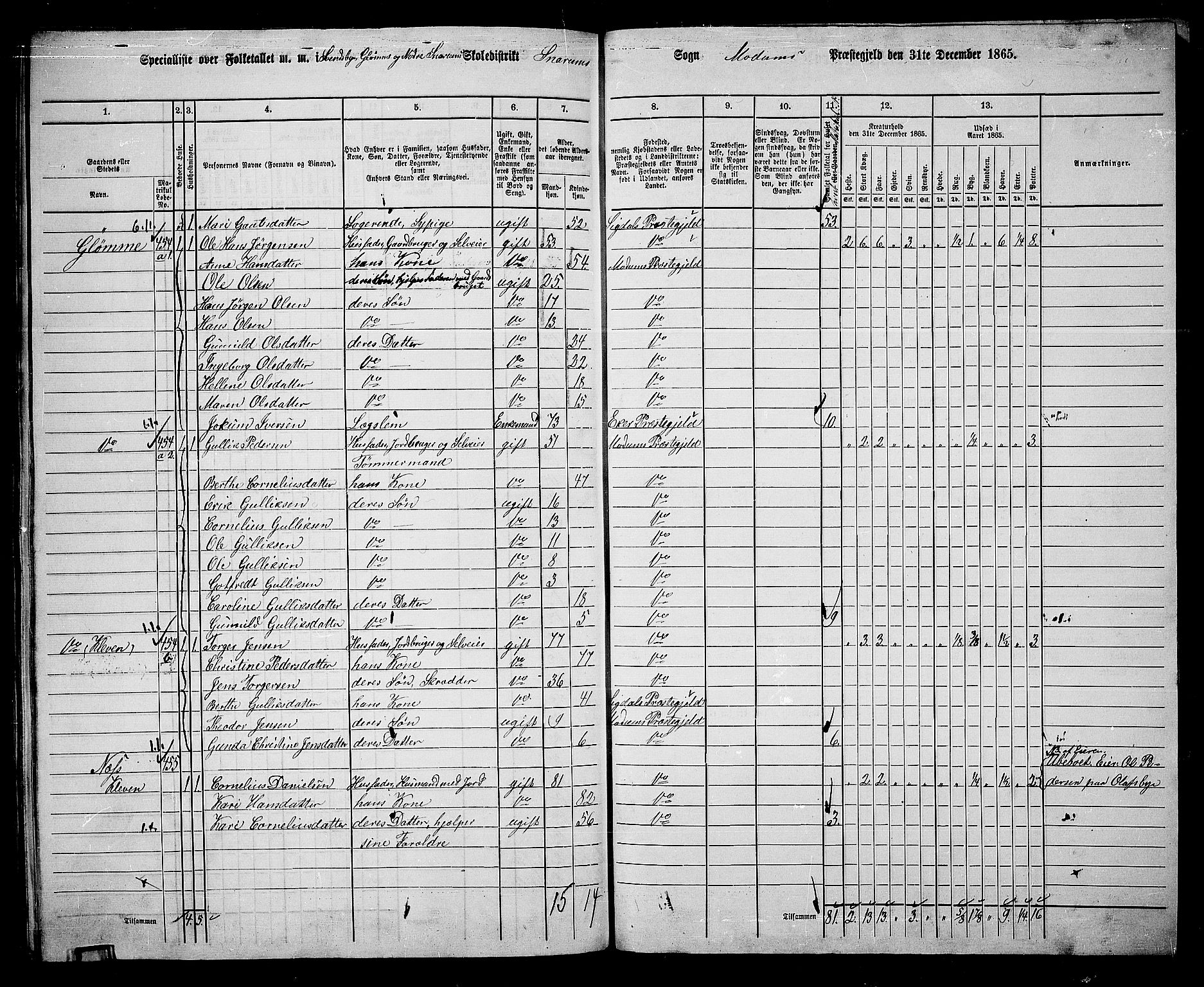 RA, 1865 census for Modum, 1865, p. 322