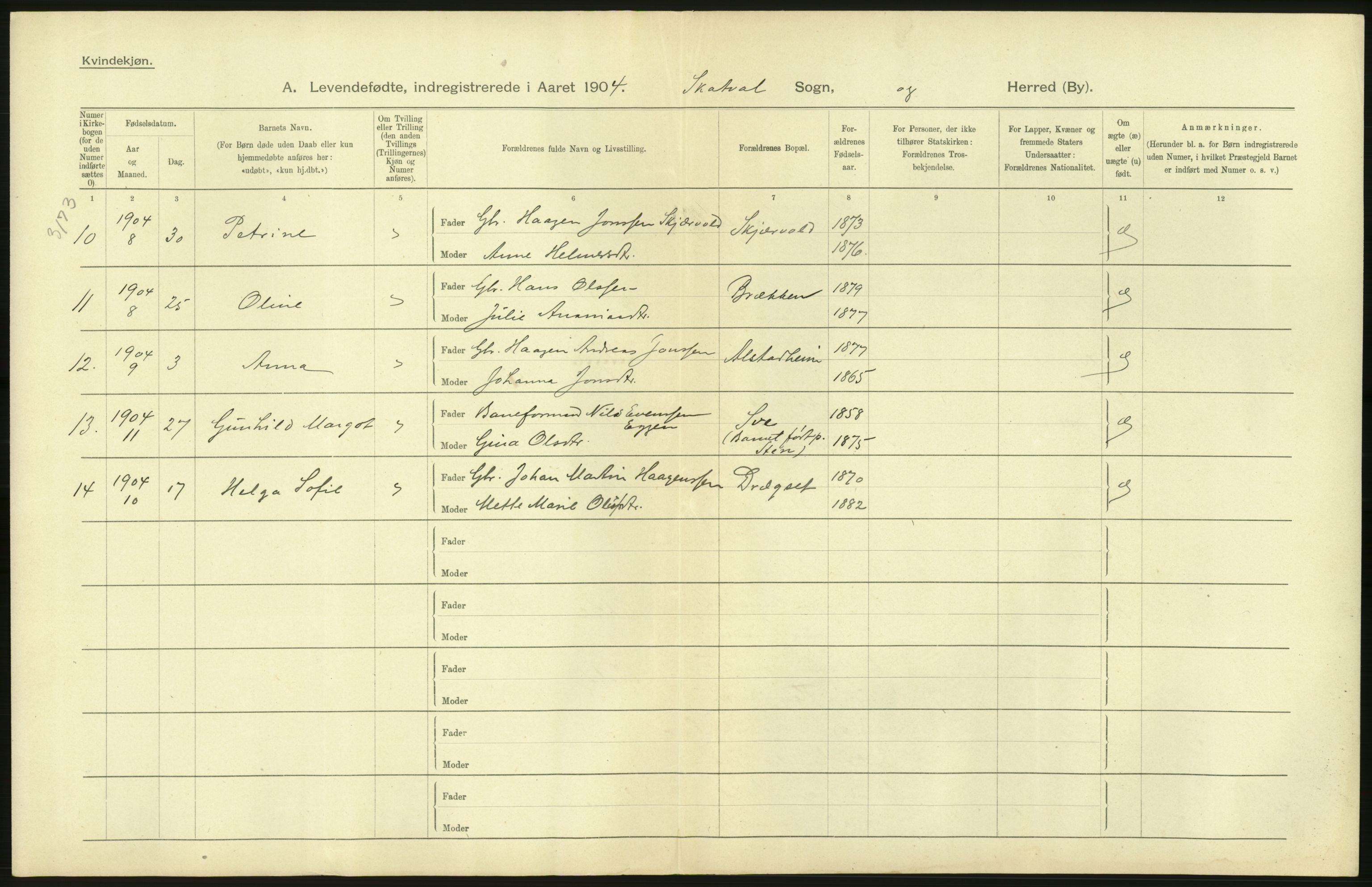 Statistisk sentralbyrå, Sosiodemografiske emner, Befolkning, AV/RA-S-2228/D/Df/Dfa/Dfab/L0019: Nordre Trondhjems amt: Fødte, gifte, døde, 1904, p. 84
