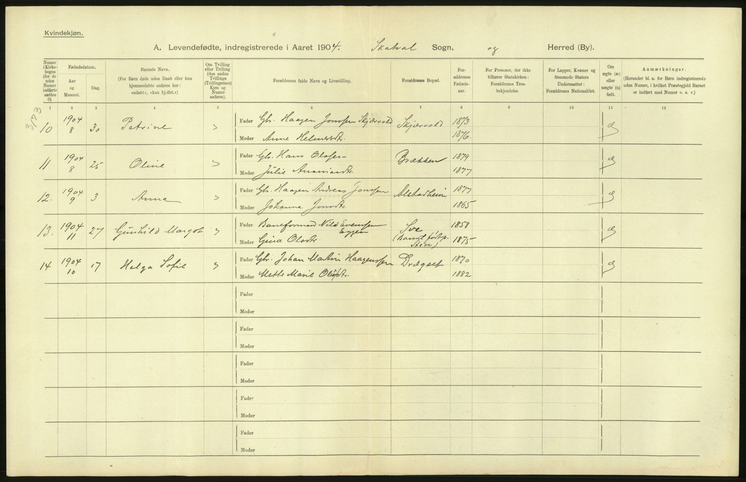 Statistisk sentralbyrå, Sosiodemografiske emner, Befolkning, RA/S-2228/D/Df/Dfa/Dfab/L0019: Nordre Trondhjems amt: Fødte, gifte, døde, 1904, p. 84