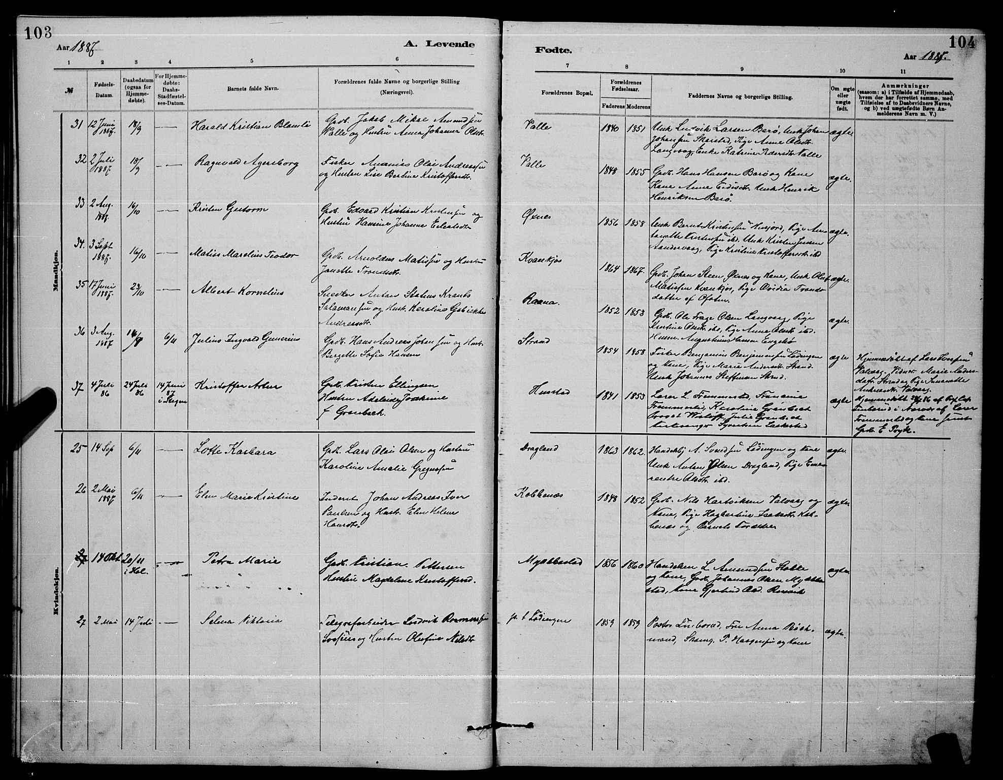 Ministerialprotokoller, klokkerbøker og fødselsregistre - Nordland, AV/SAT-A-1459/872/L1047: Parish register (copy) no. 872C03, 1880-1897, p. 103-104