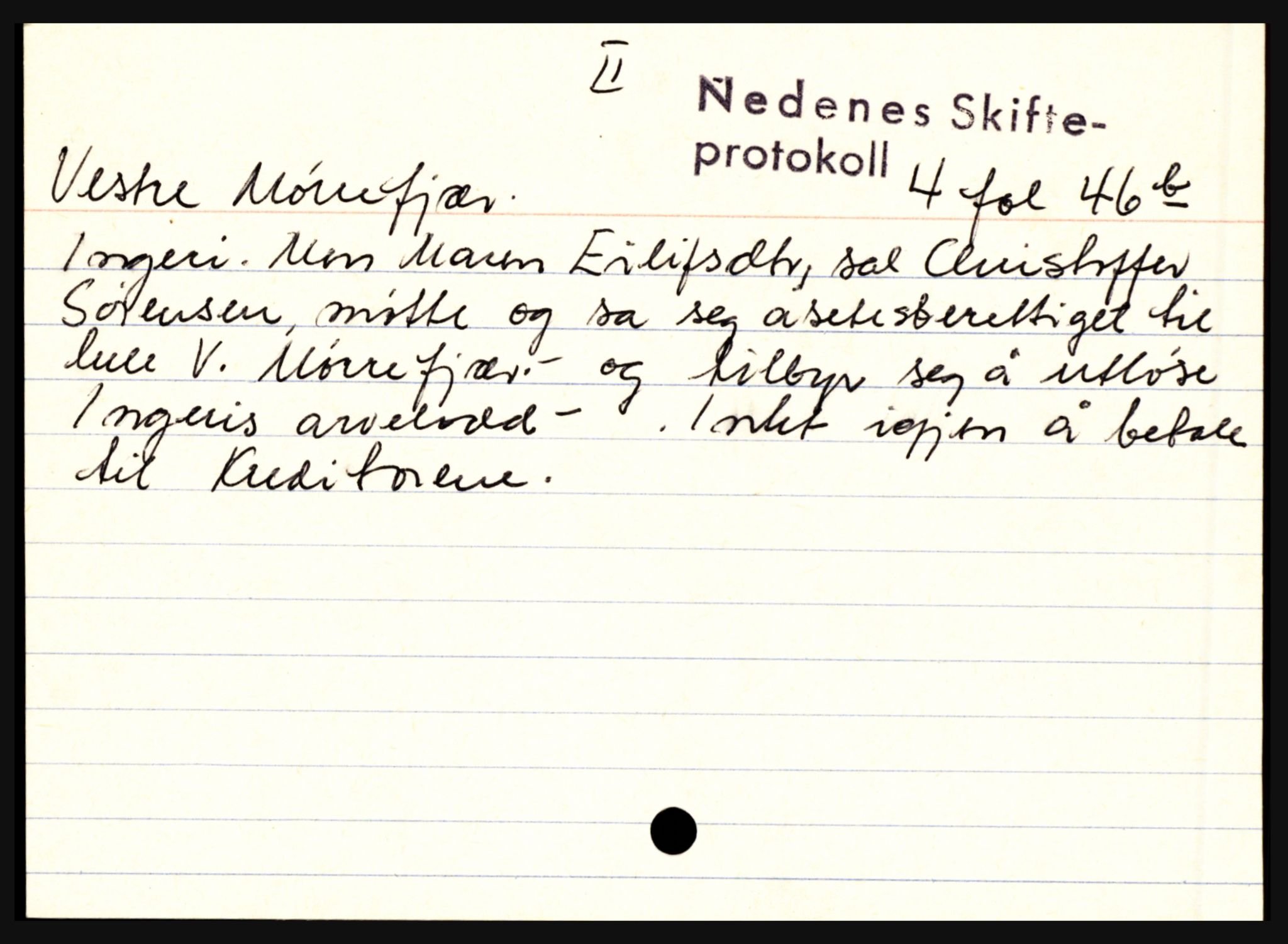 Nedenes sorenskriveri før 1824, AV/SAK-1221-0007/H, p. 20735