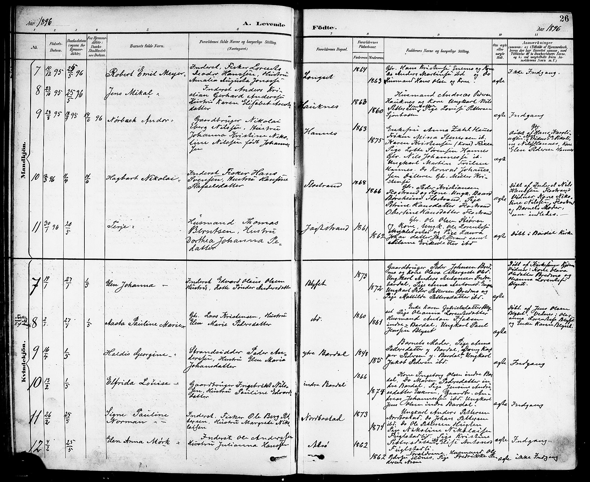 Ministerialprotokoller, klokkerbøker og fødselsregistre - Nordland, AV/SAT-A-1459/838/L0559: Parish register (copy) no. 838C06, 1893-1910, p. 26