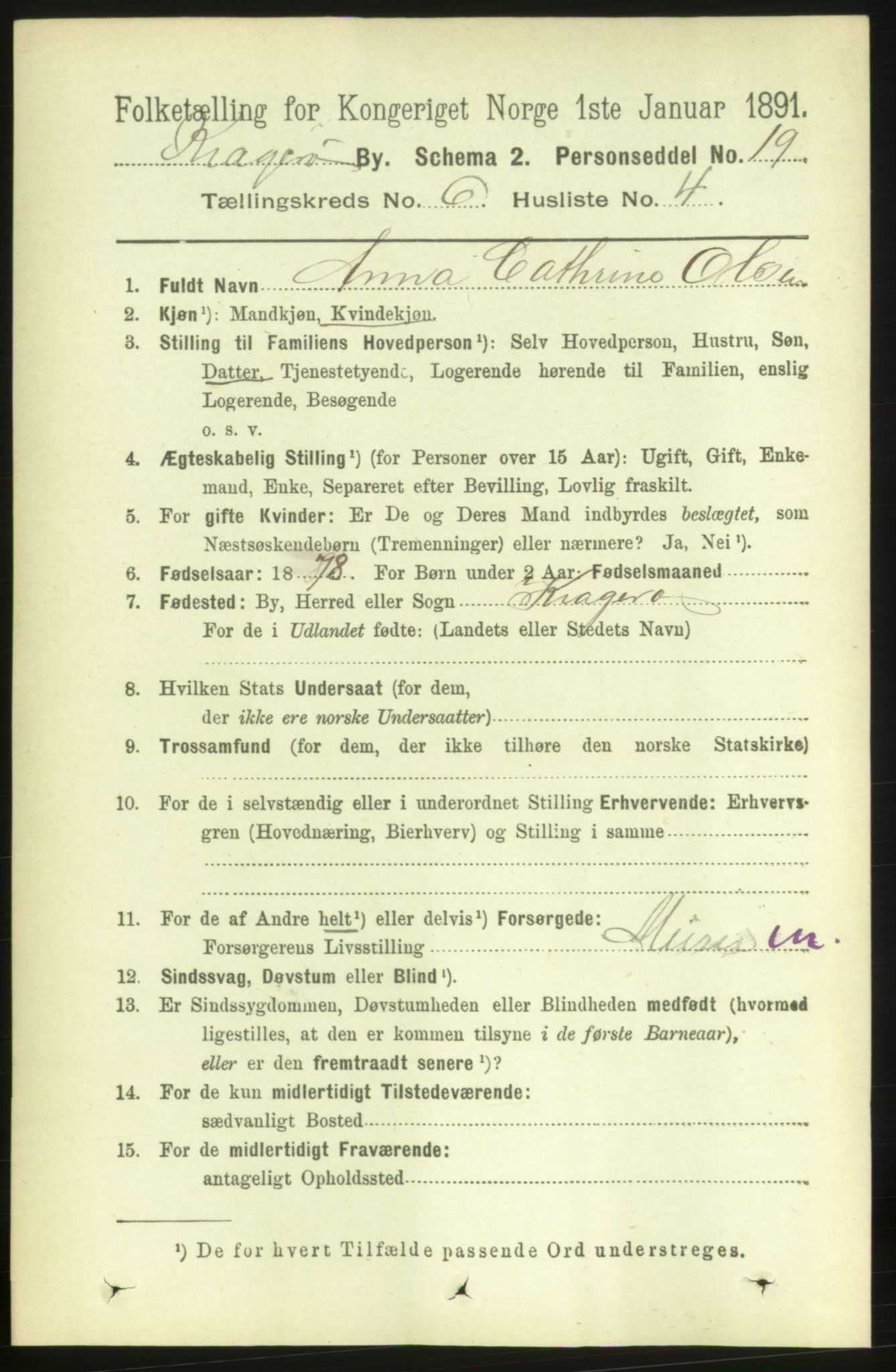 RA, 1891 census for 0801 Kragerø, 1891, p. 3318