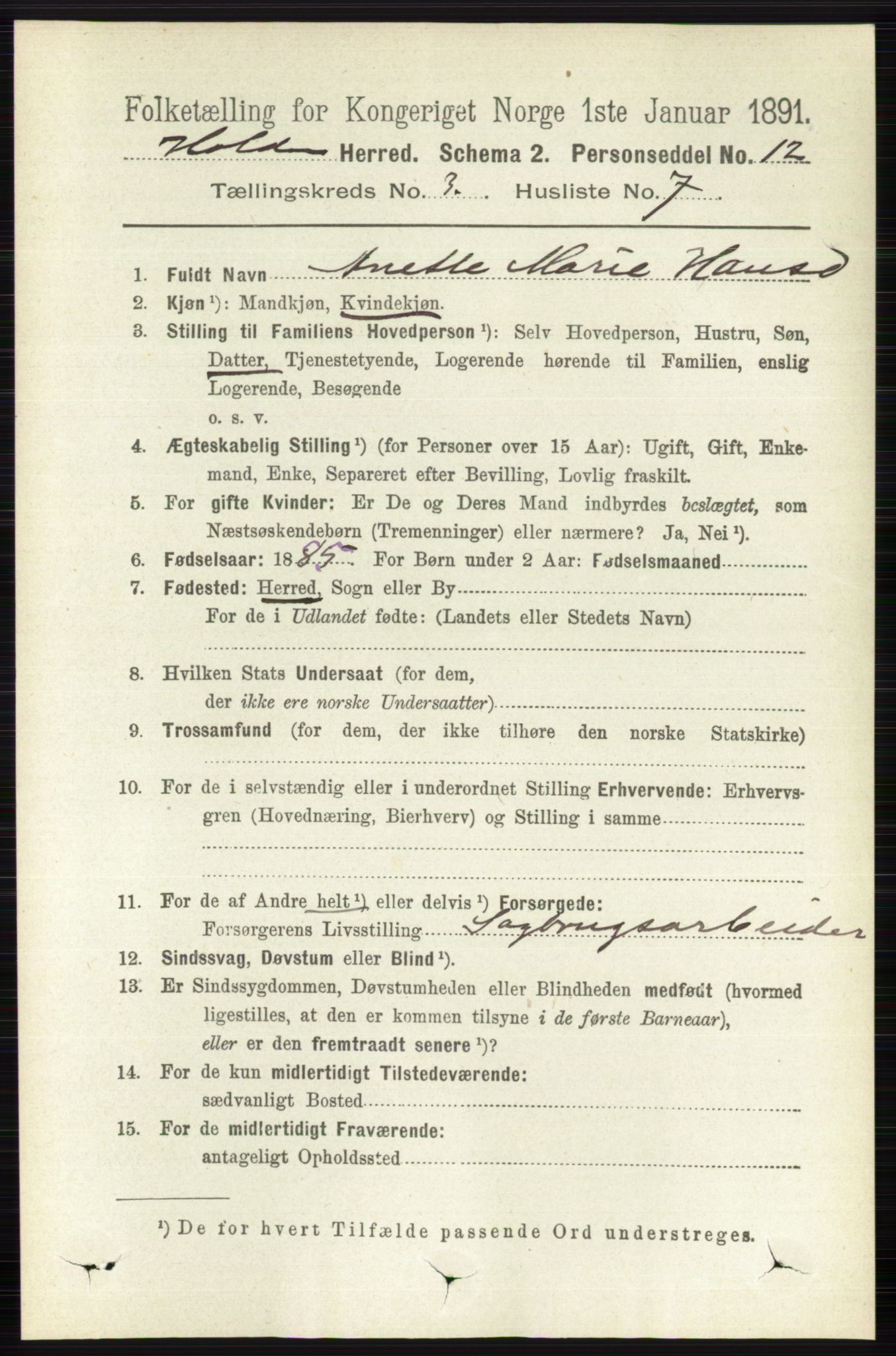 RA, 1891 census for 0819 Holla, 1891, p. 1417