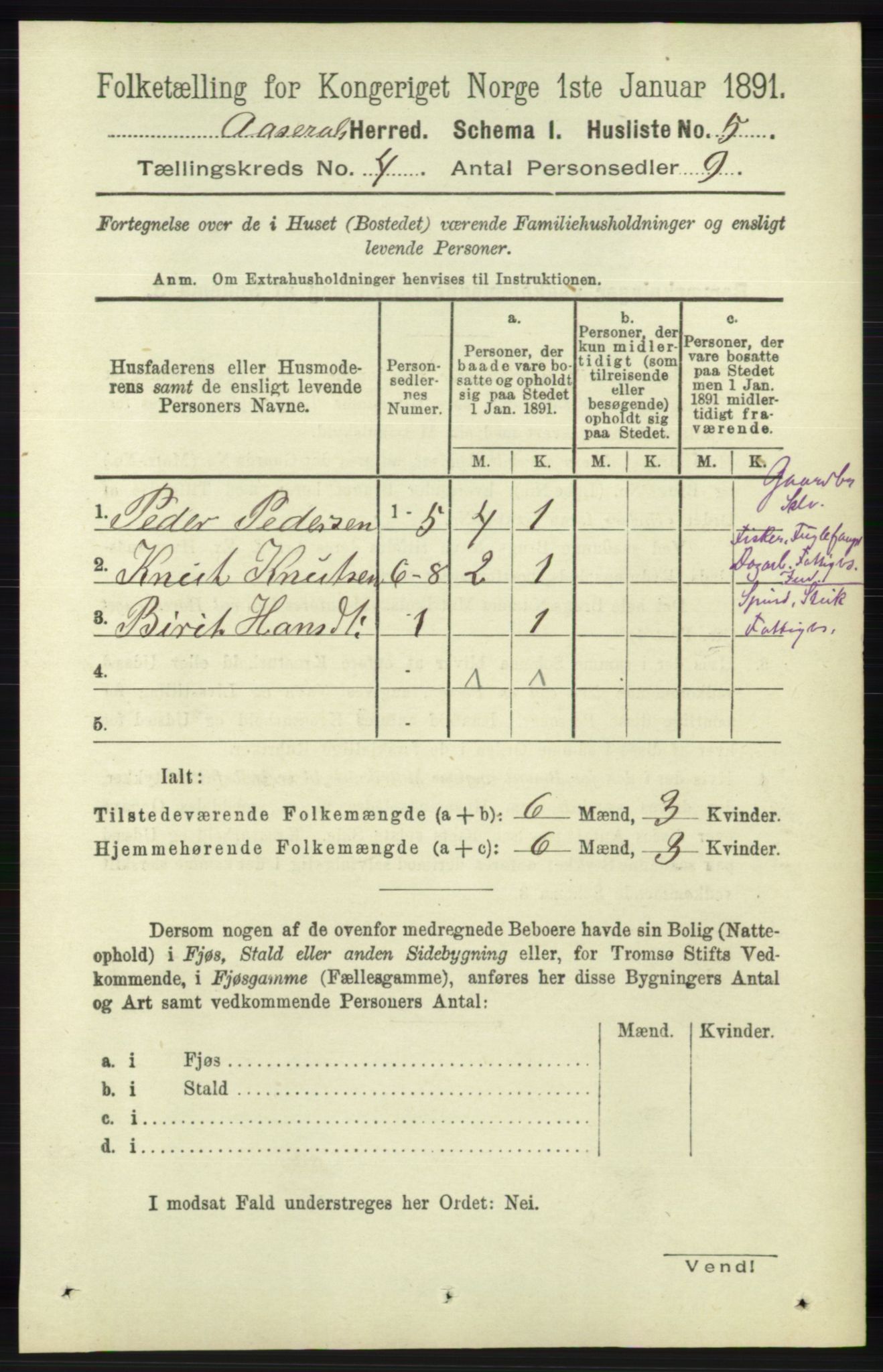 RA, 1891 census for 1026 Åseral, 1891, p. 1124