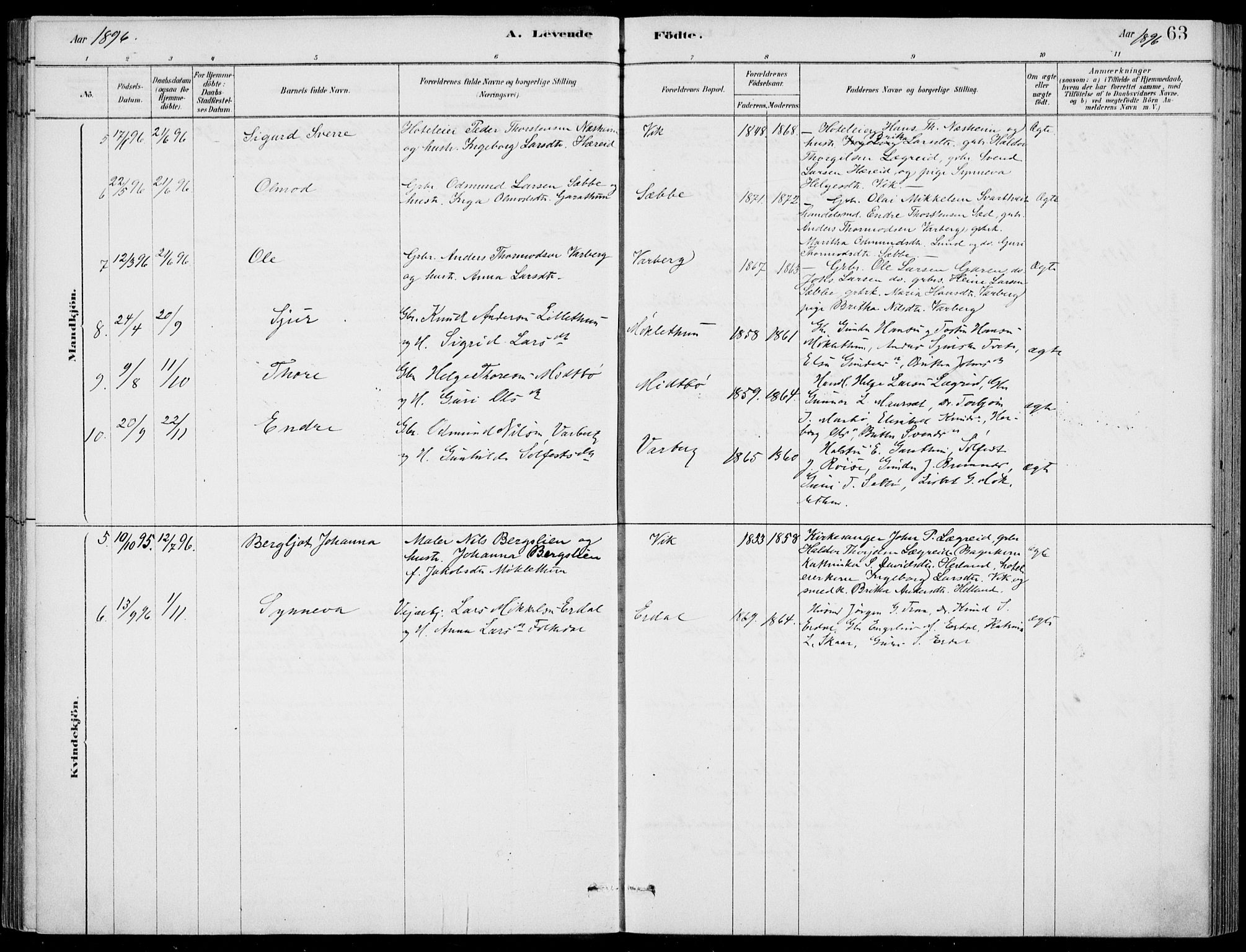 Ulvik sokneprestembete, AV/SAB-A-78801/H/Haa: Parish register (official) no. D  1, 1878-1903, p. 63