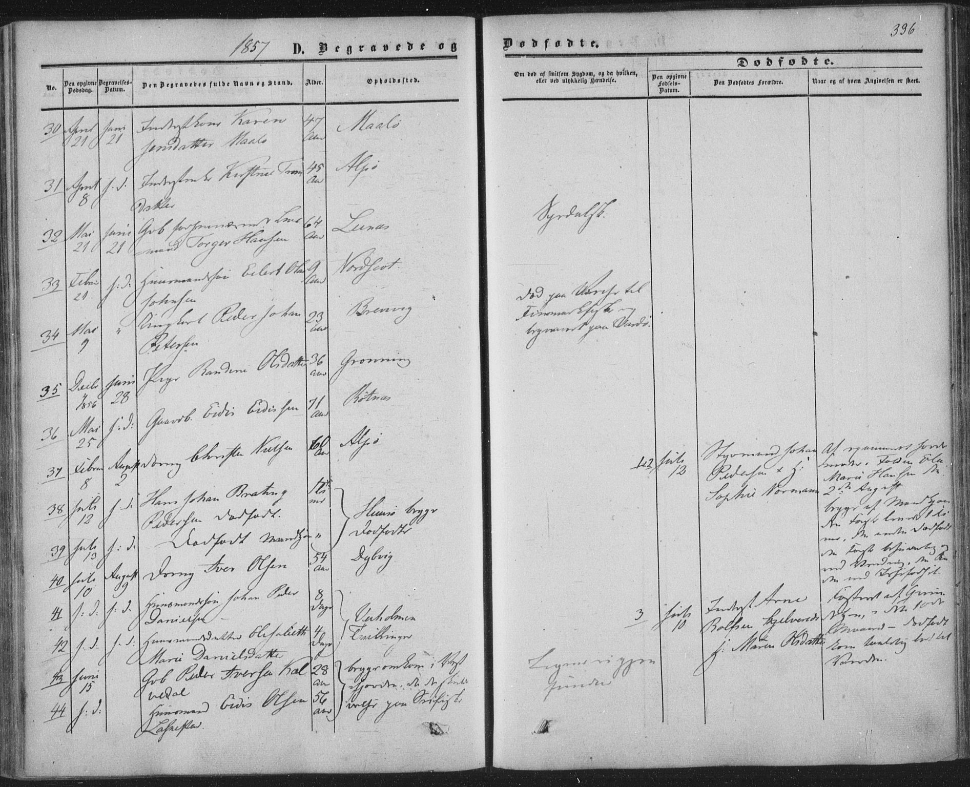 Ministerialprotokoller, klokkerbøker og fødselsregistre - Nordland, AV/SAT-A-1459/855/L0800: Parish register (official) no. 855A08, 1852-1864, p. 336