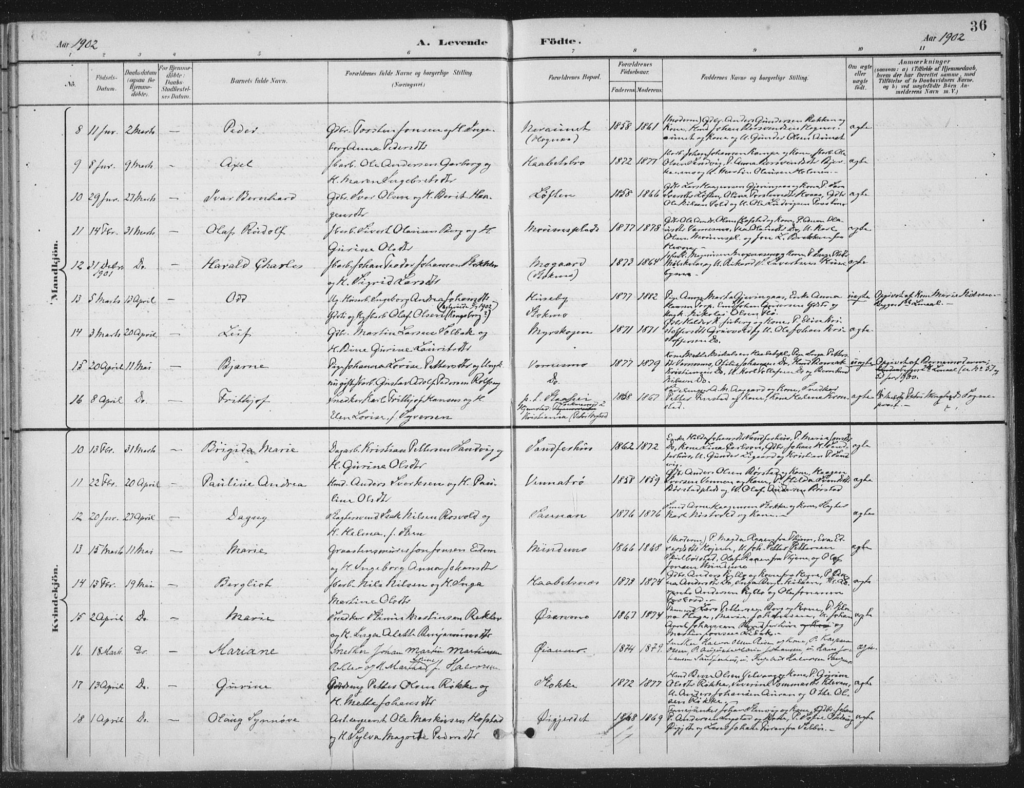 Ministerialprotokoller, klokkerbøker og fødselsregistre - Nord-Trøndelag, AV/SAT-A-1458/709/L0082: Parish register (official) no. 709A22, 1896-1916, p. 36