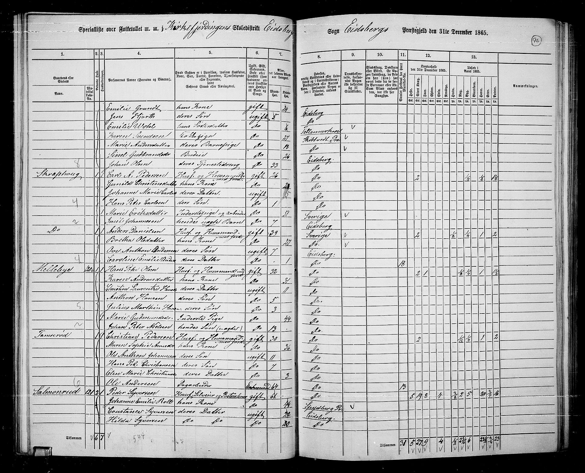 RA, 1865 census for Eidsberg, 1865, p. 85