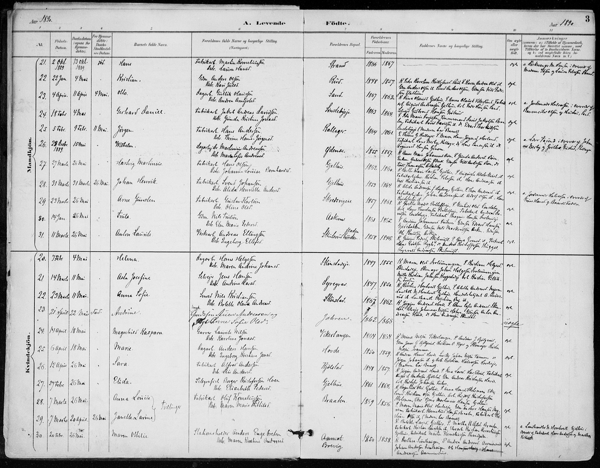 Modum kirkebøker, SAKO/A-234/F/Fa/L0012: Parish register (official) no. 12, 1890-1898, p. 3