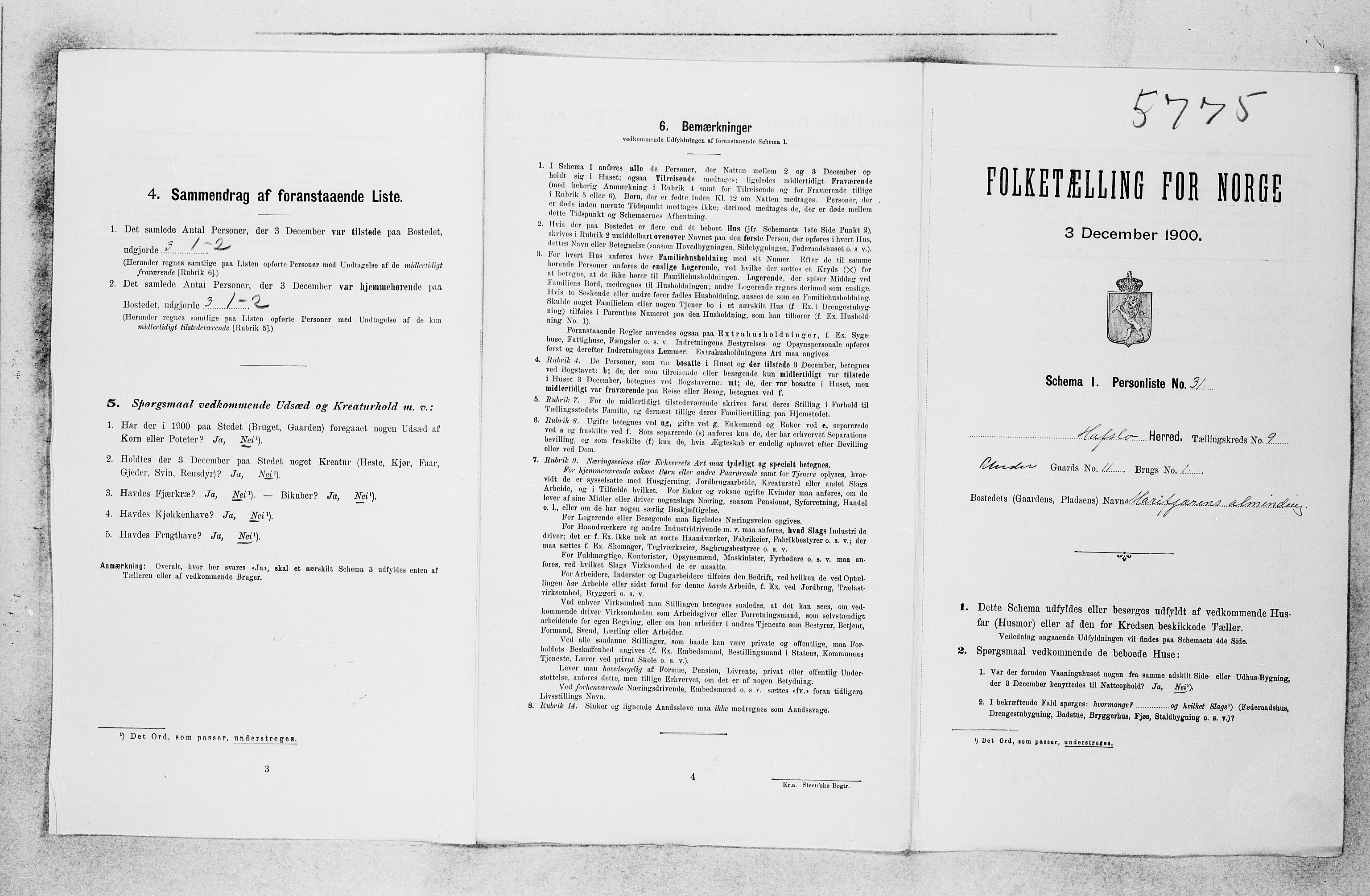 SAB, 1900 census for Hafslo, 1900, p. 996