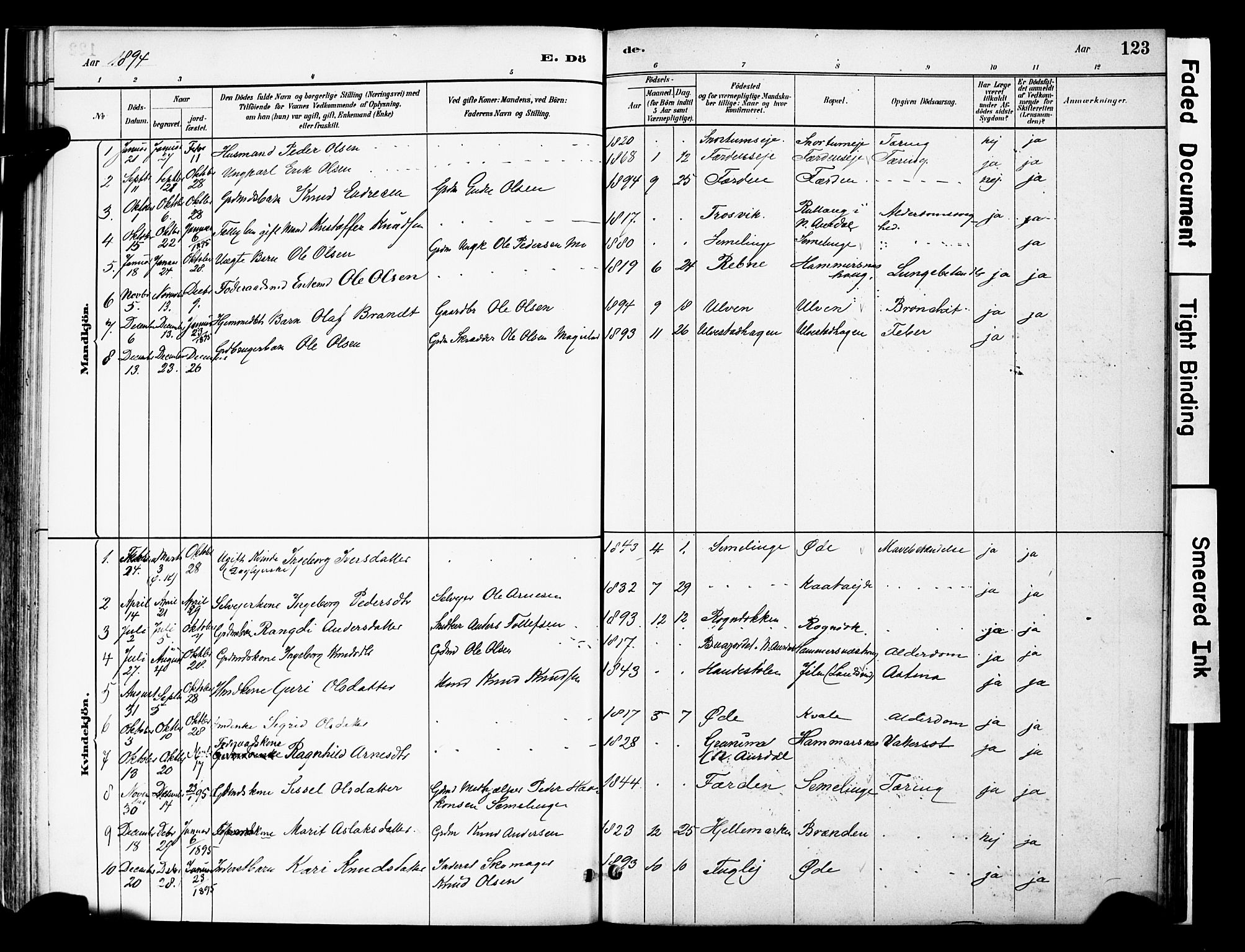 Vestre Slidre prestekontor, SAH/PREST-136/H/Ha/Haa/L0006: Parish register (official) no. 6, 1881-1912, p. 123