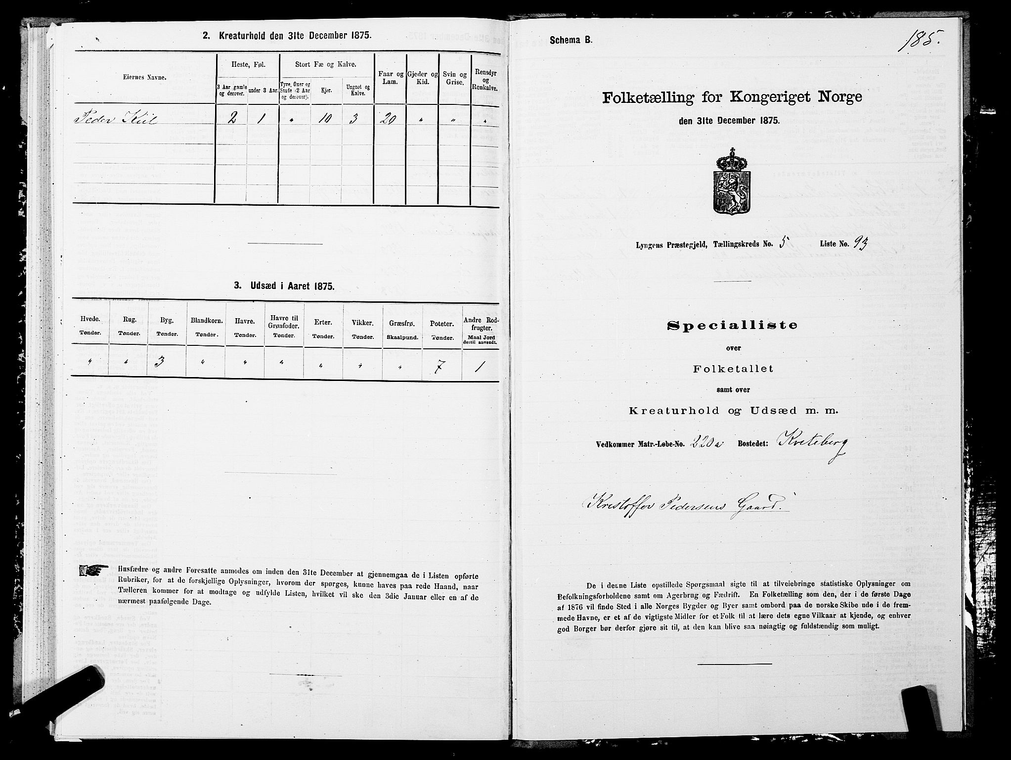 SATØ, 1875 census for 1938P Lyngen, 1875, p. 5185