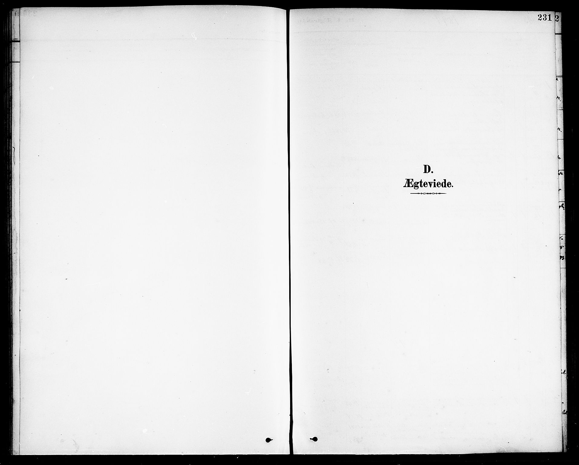 Ministerialprotokoller, klokkerbøker og fødselsregistre - Nordland, SAT/A-1459/838/L0559: Parish register (copy) no. 838C06, 1893-1910, p. 231
