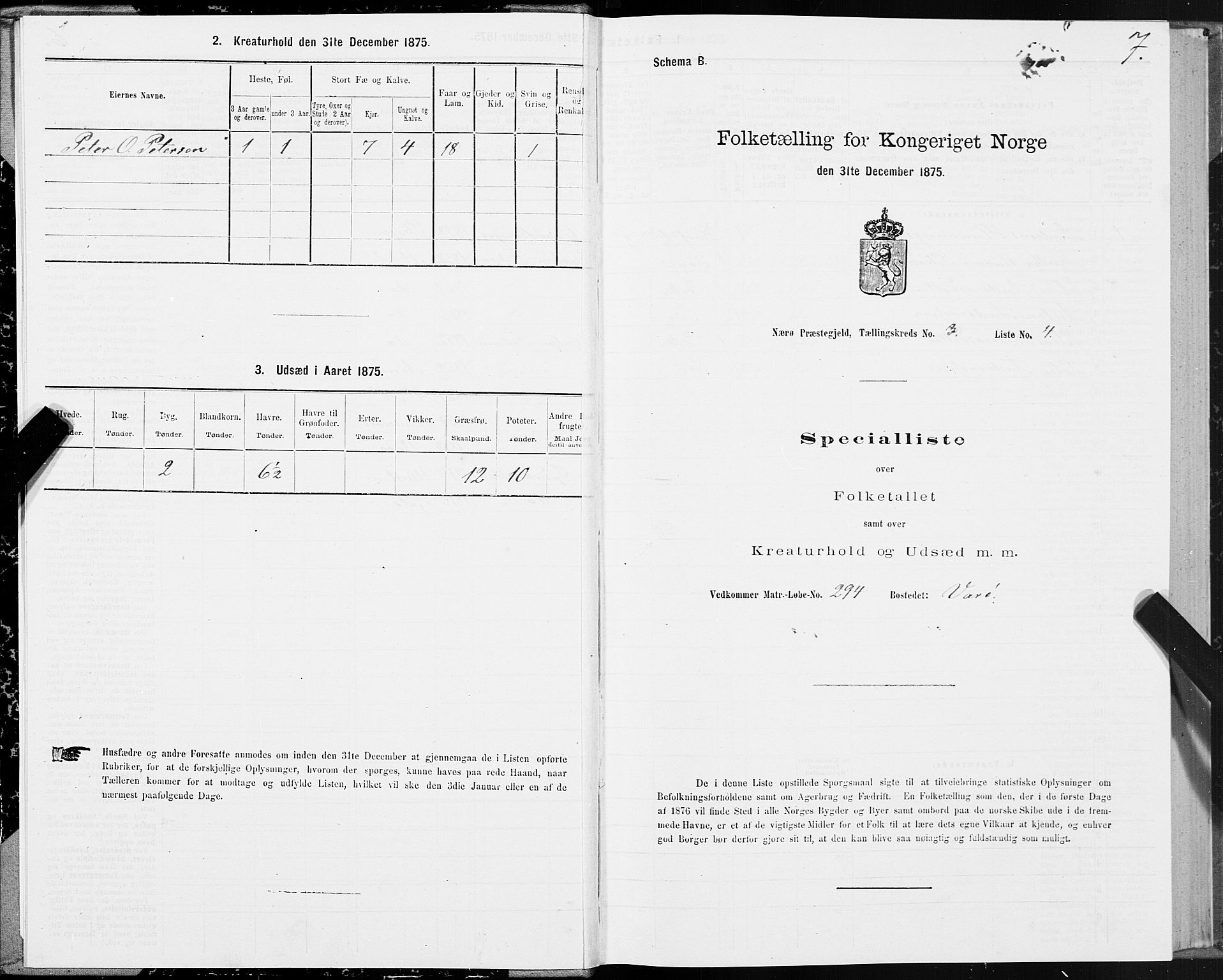 SAT, 1875 census for 1751P Nærøy, 1875, p. 2007