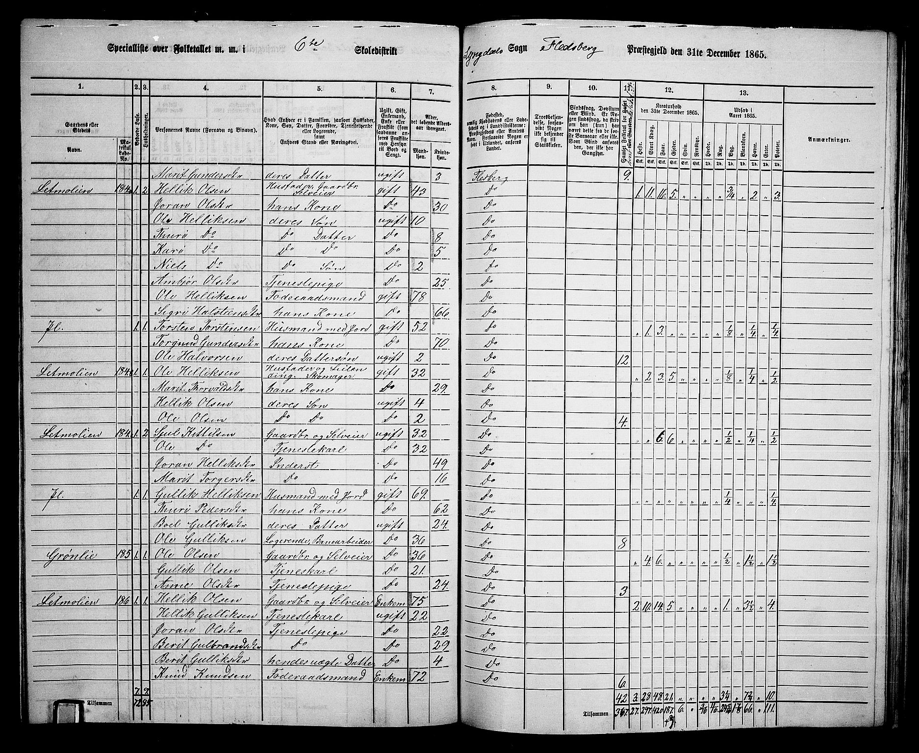 RA, 1865 census for Flesberg, 1865, p. 120