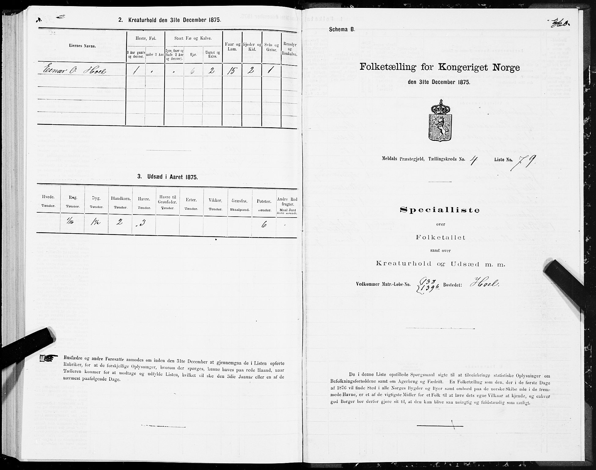 SAT, 1875 census for 1636P Meldal, 1875, p. 2360