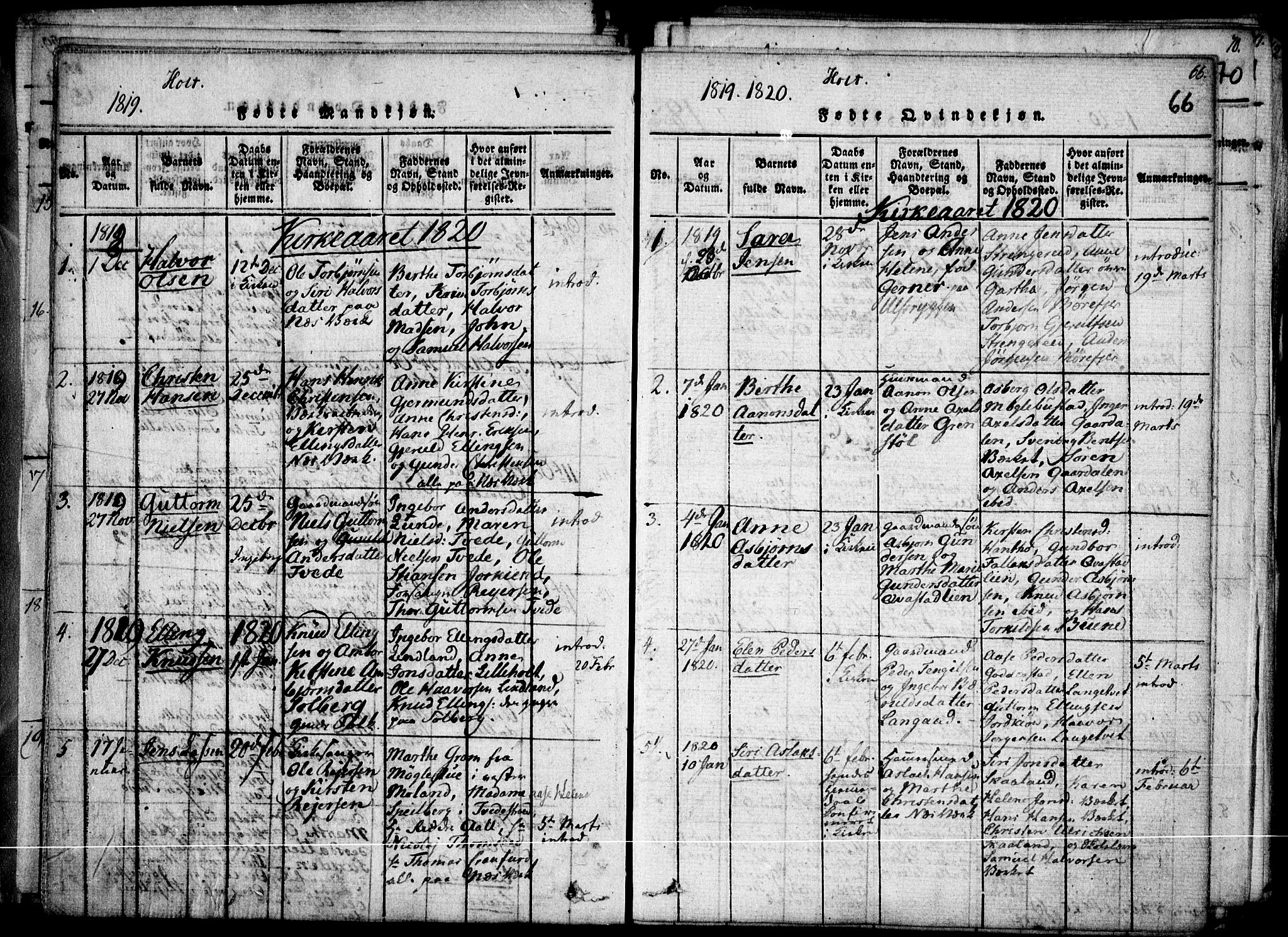 Holt sokneprestkontor, AV/SAK-1111-0021/F/Fa/L0005: Parish register (official) no. A 5, 1813-1821, p. 66