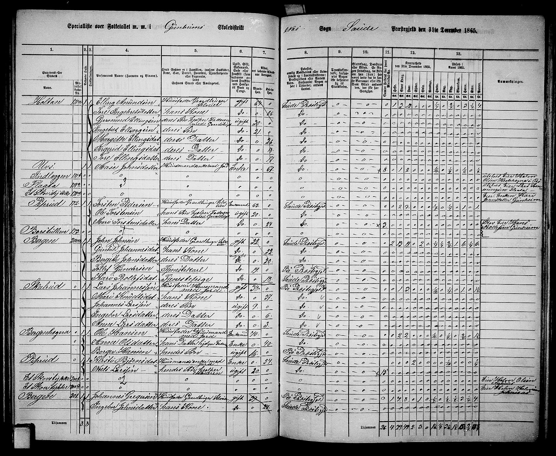 RA, 1865 census for Sauherad, 1865, p. 113