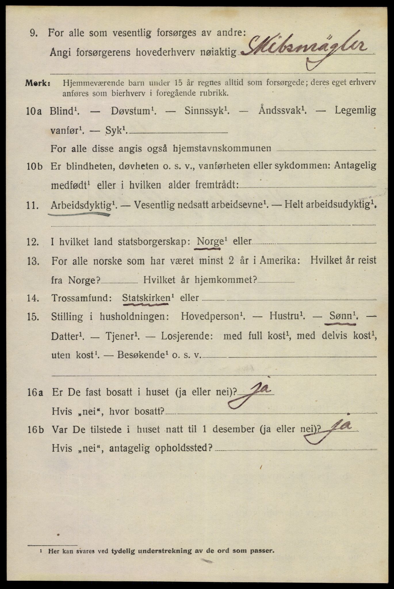 SAKO, 1920 census for Porsgrunn, 1920, p. 11452