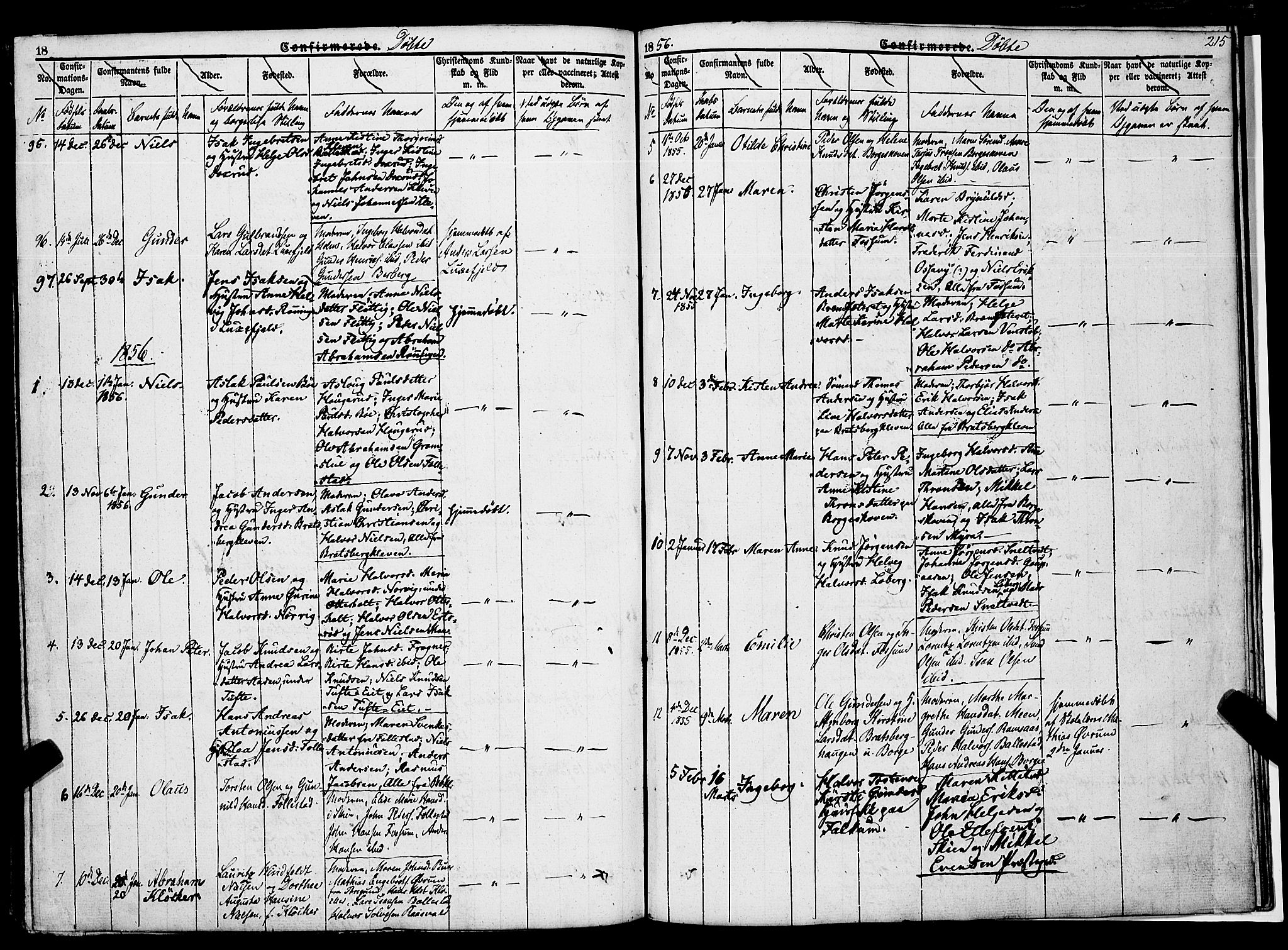 Gjerpen kirkebøker, SAKO/A-265/F/Fa/L0007a: Parish register (official) no. I 7A, 1834-1857, p. 215