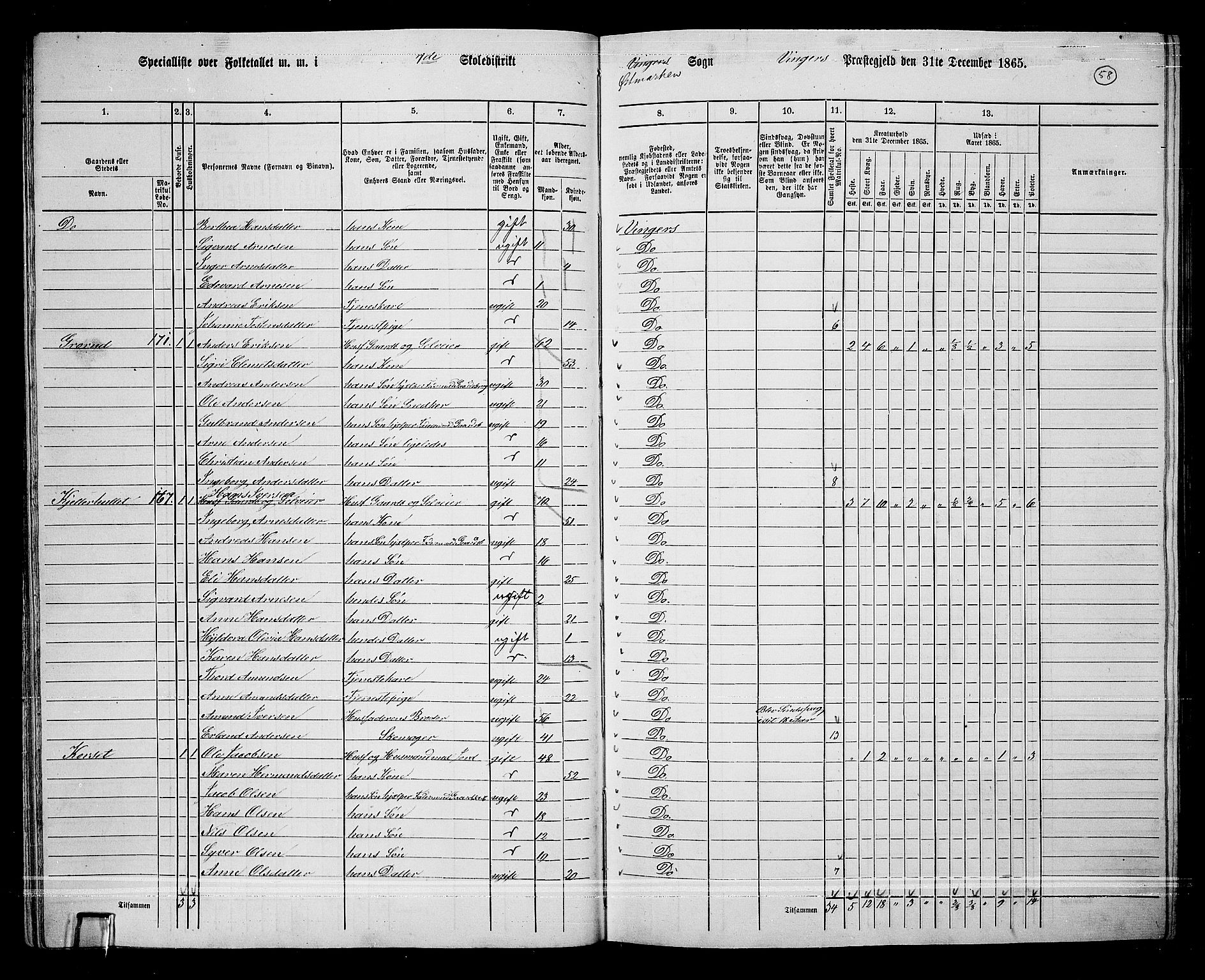 RA, 1865 census for Vinger/Vinger og Austmarka, 1865, p. 55