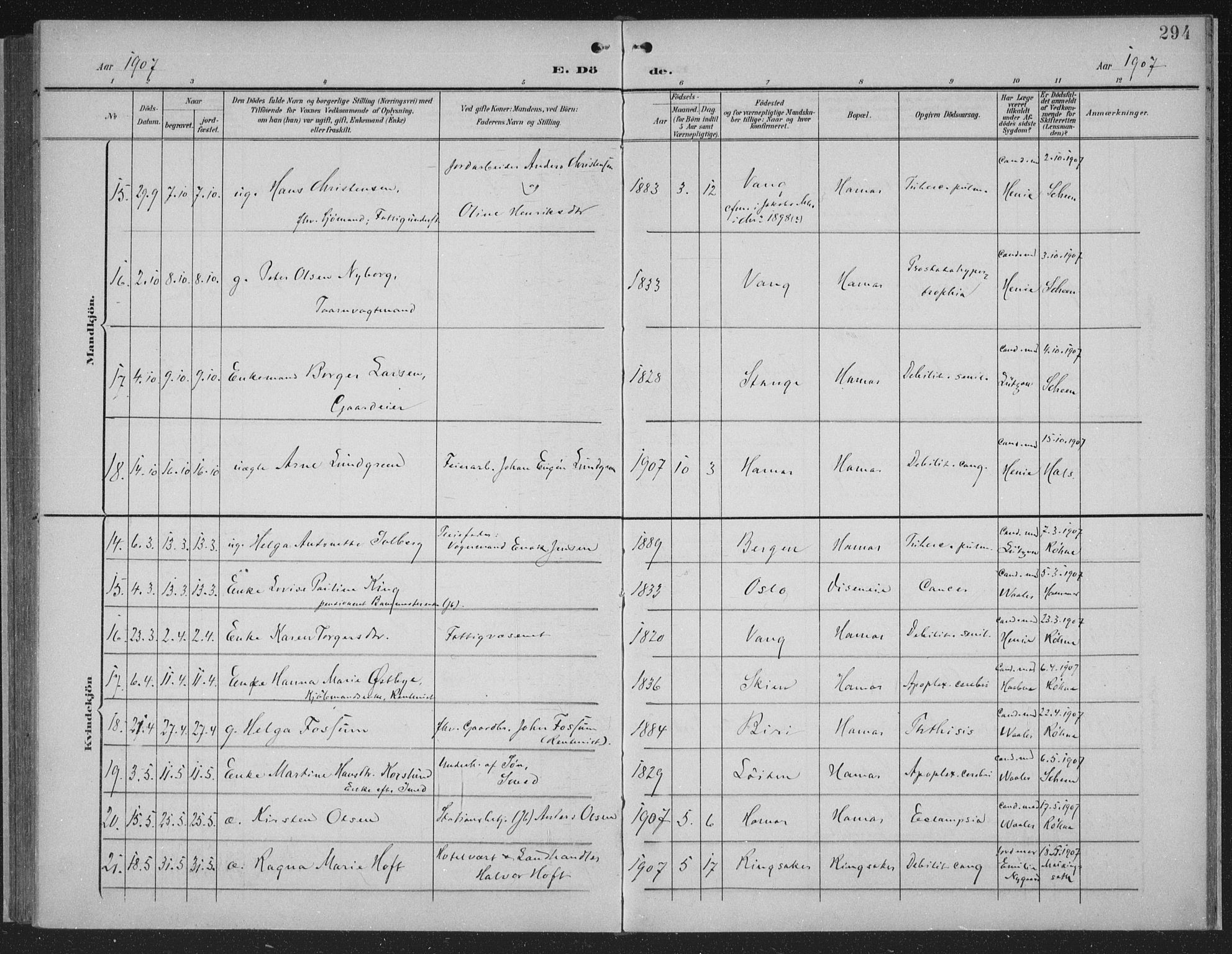 Hamar prestekontor, SAH/DOMPH-002/H/Ha/Haa/L0001: Parish register (official) no. 1, 1900-1914, p. 294