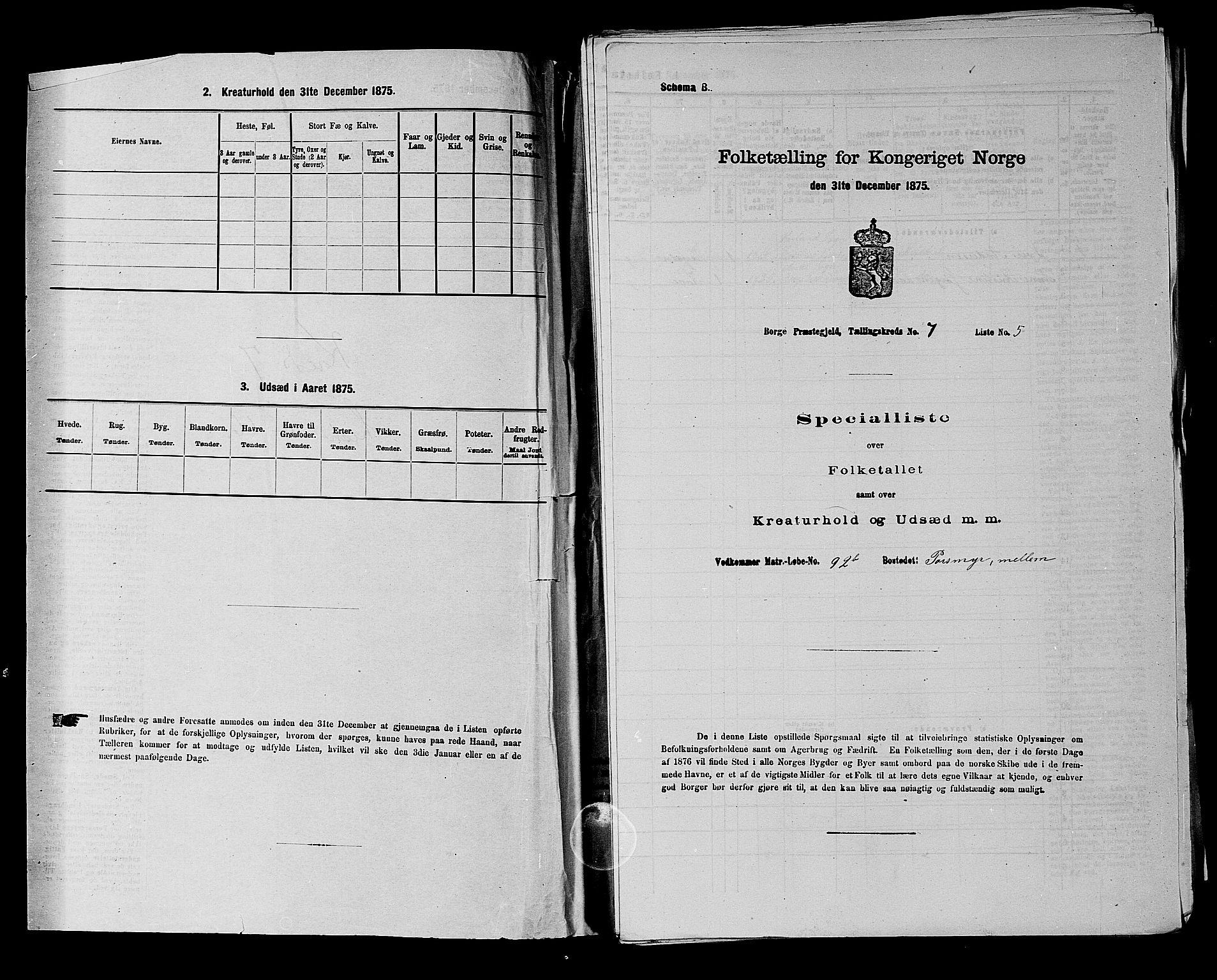 RA, 1875 census for 0113P Borge, 1875, p. 963