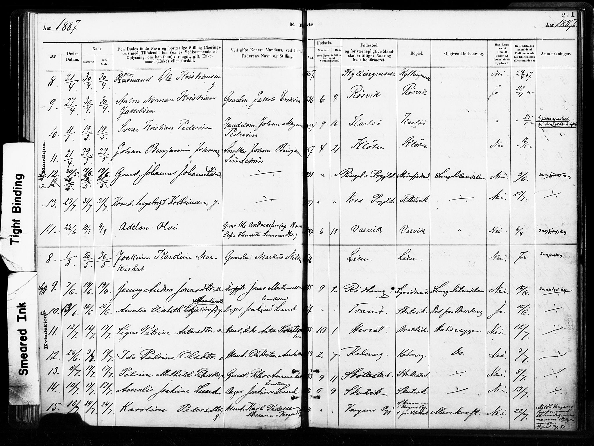 Ministerialprotokoller, klokkerbøker og fødselsregistre - Nordland, AV/SAT-A-1459/859/L0846: Parish register (official) no. 859A06, 1878-1889, p. 271