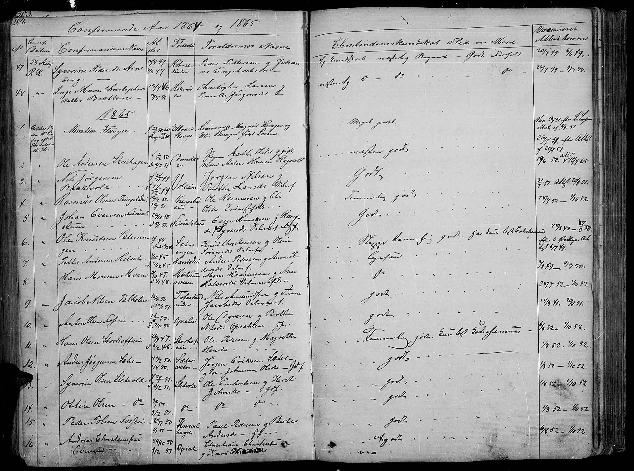 Romedal prestekontor, SAH/PREST-004/L/L0009: Parish register (copy) no. 9, 1846-1866, p. 204