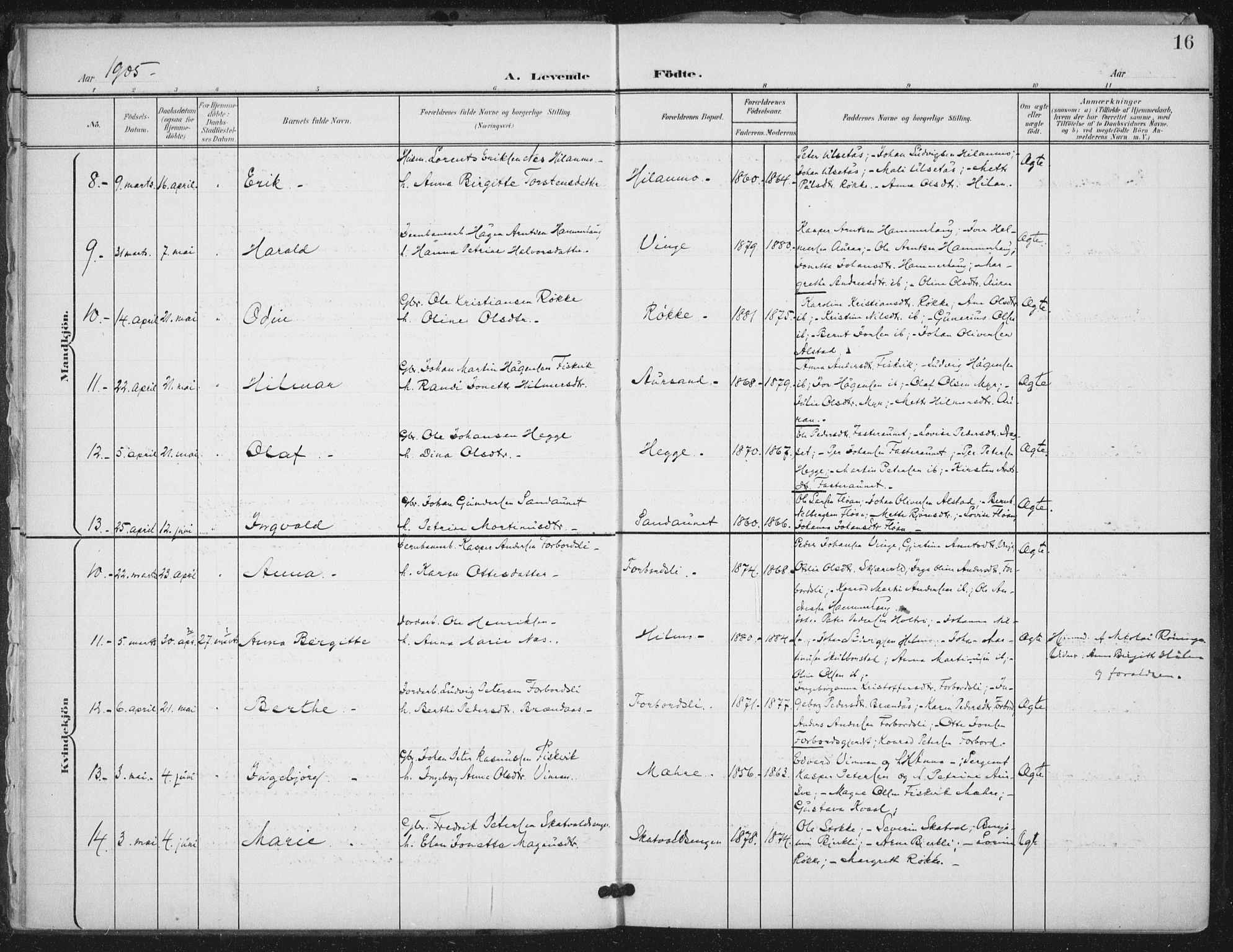 Ministerialprotokoller, klokkerbøker og fødselsregistre - Nord-Trøndelag, AV/SAT-A-1458/712/L0101: Parish register (official) no. 712A02, 1901-1916, p. 16