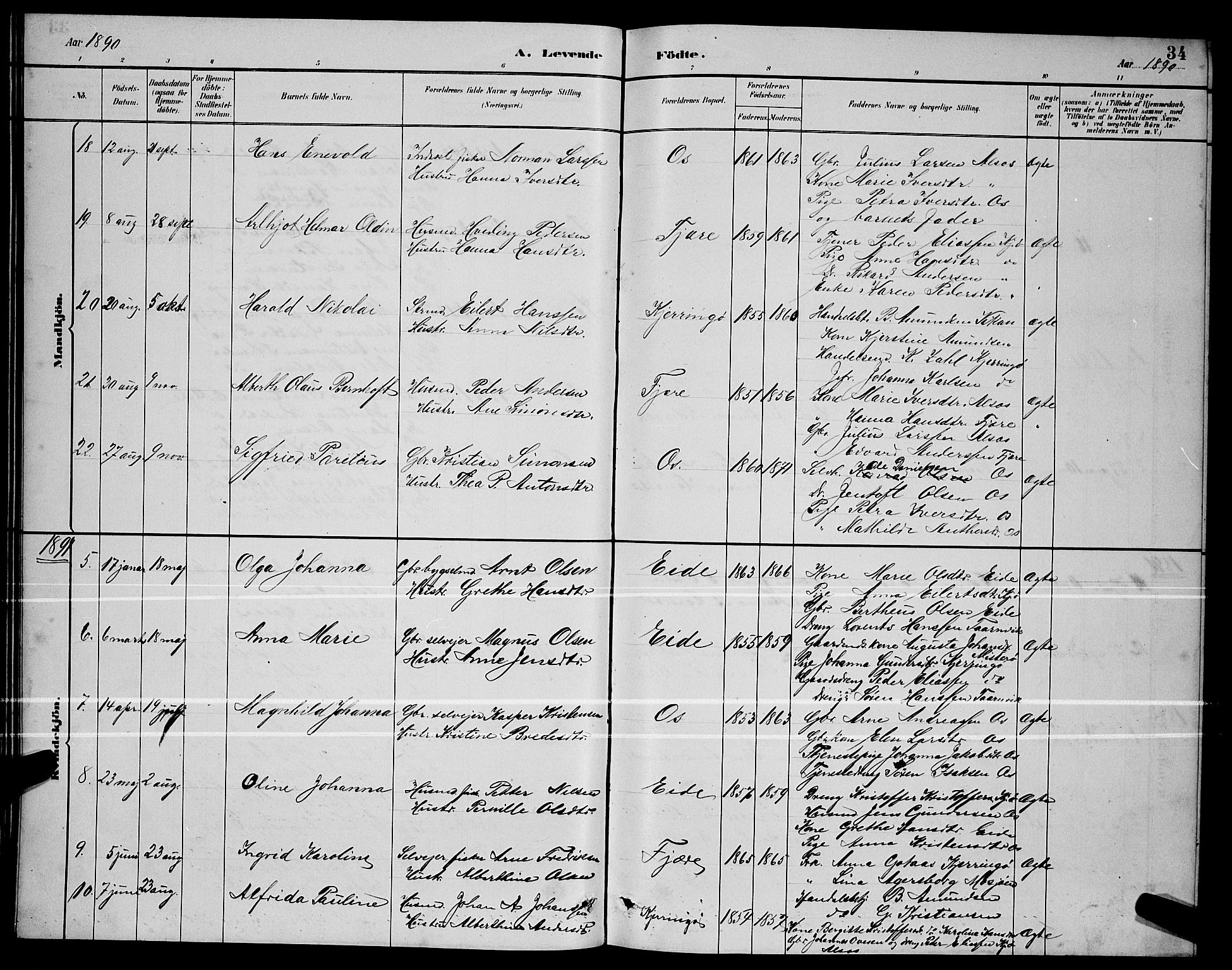 Ministerialprotokoller, klokkerbøker og fødselsregistre - Nordland, SAT/A-1459/803/L0076: Parish register (copy) no. 803C03, 1882-1897, p. 34