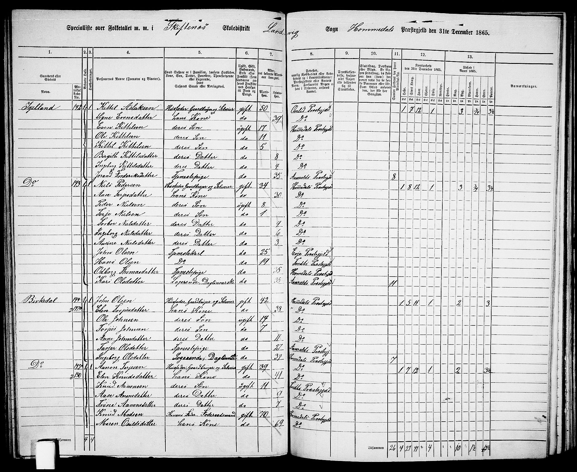 RA, 1865 census for Homedal, 1865, p. 125