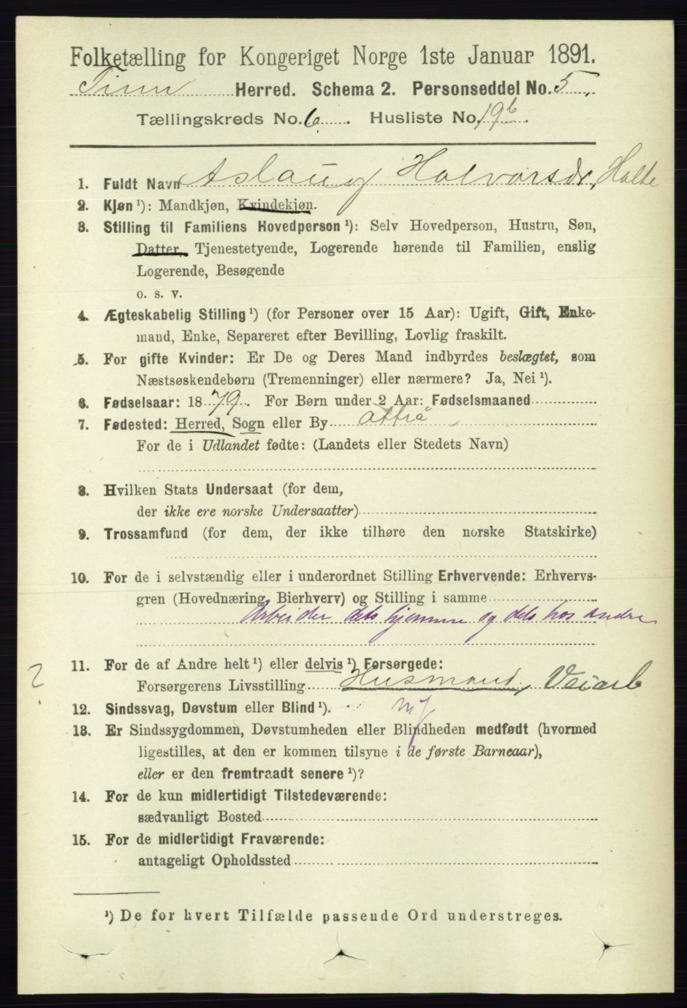 RA, 1891 census for 0826 Tinn, 1891, p. 1340