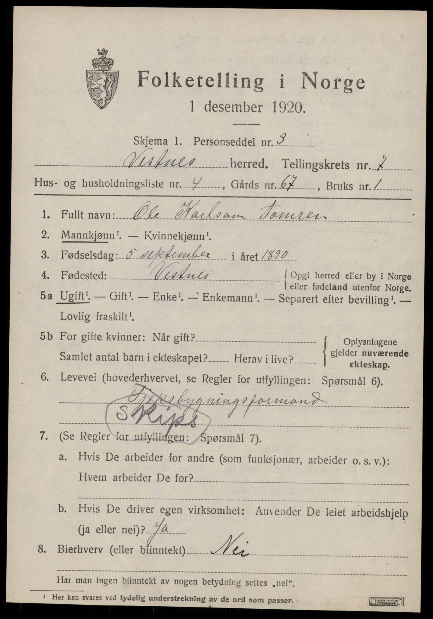 SAT, 1920 census for Vestnes, 1920, p. 5133