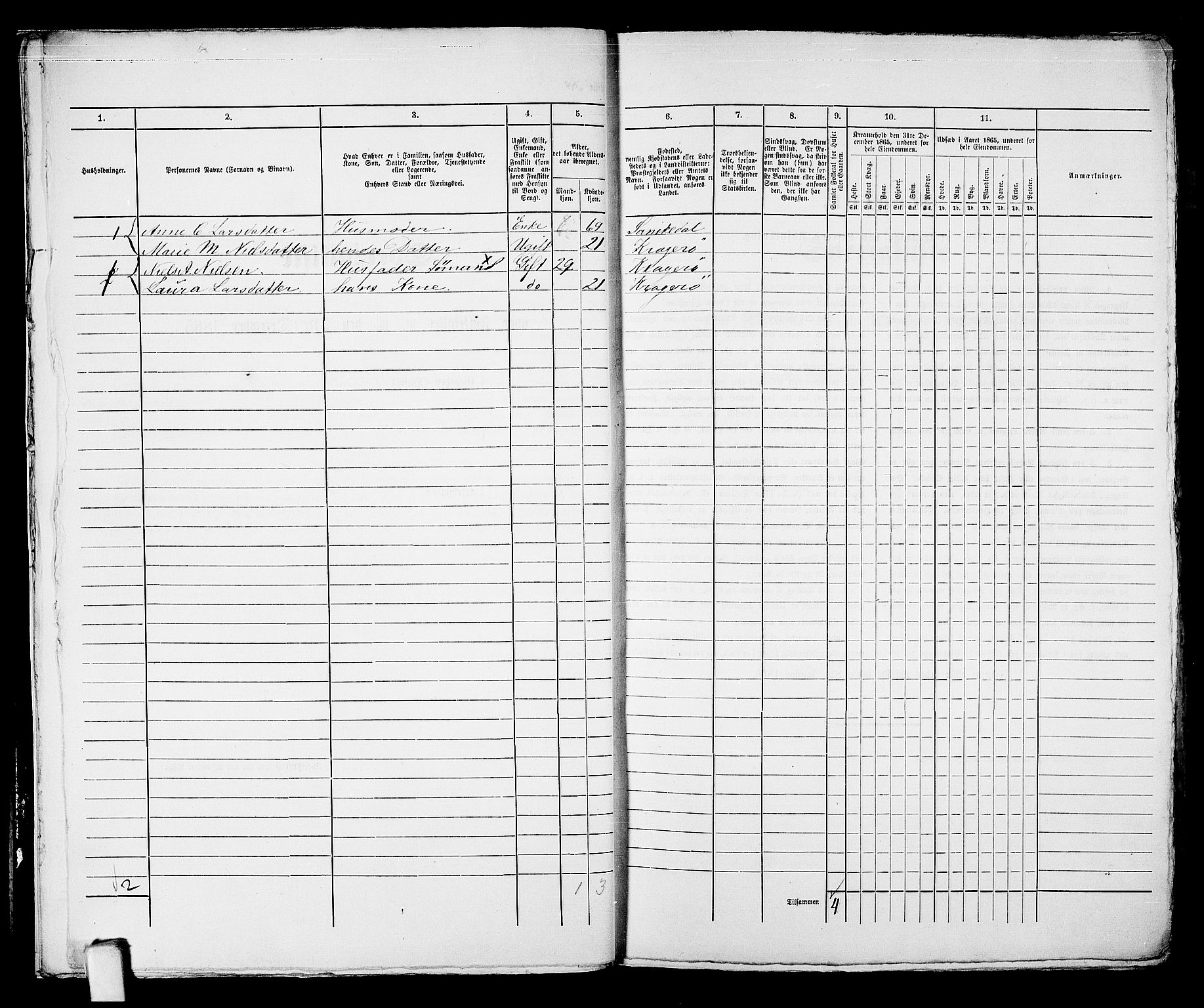 RA, 1865 census for Kragerø/Kragerø, 1865, p. 629