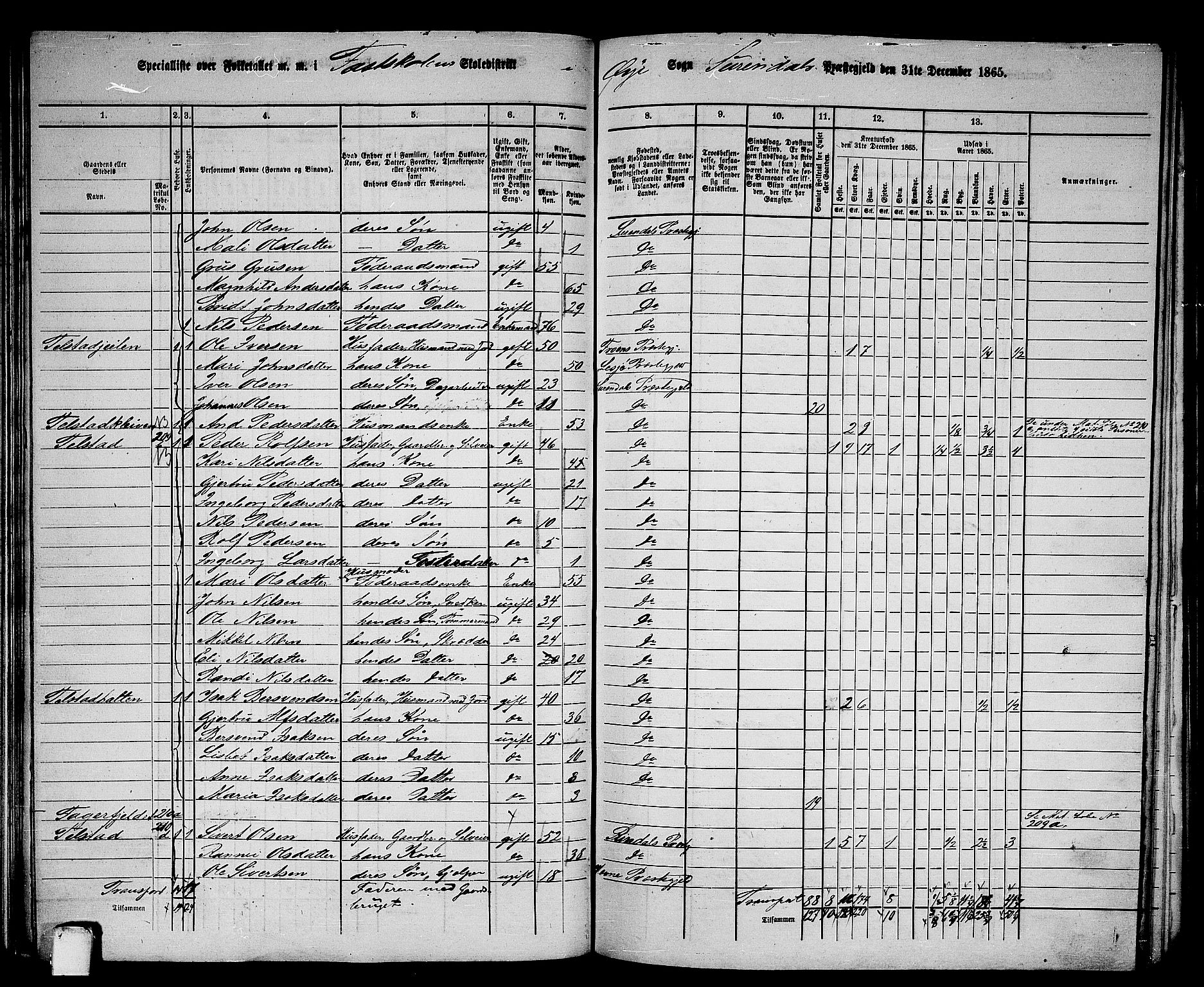 RA, 1865 census for Surnadal, 1865, p. 113