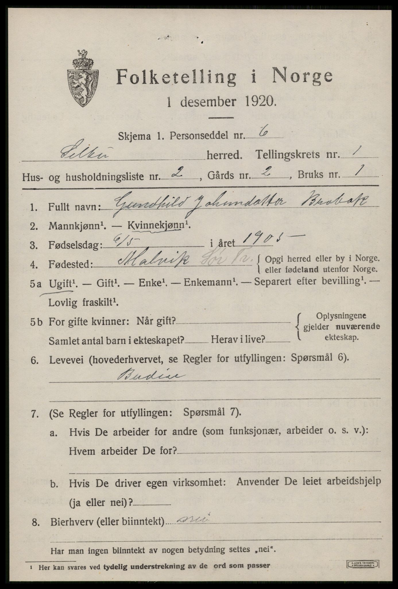 SAT, 1920 census for Selbu, 1920, p. 1698